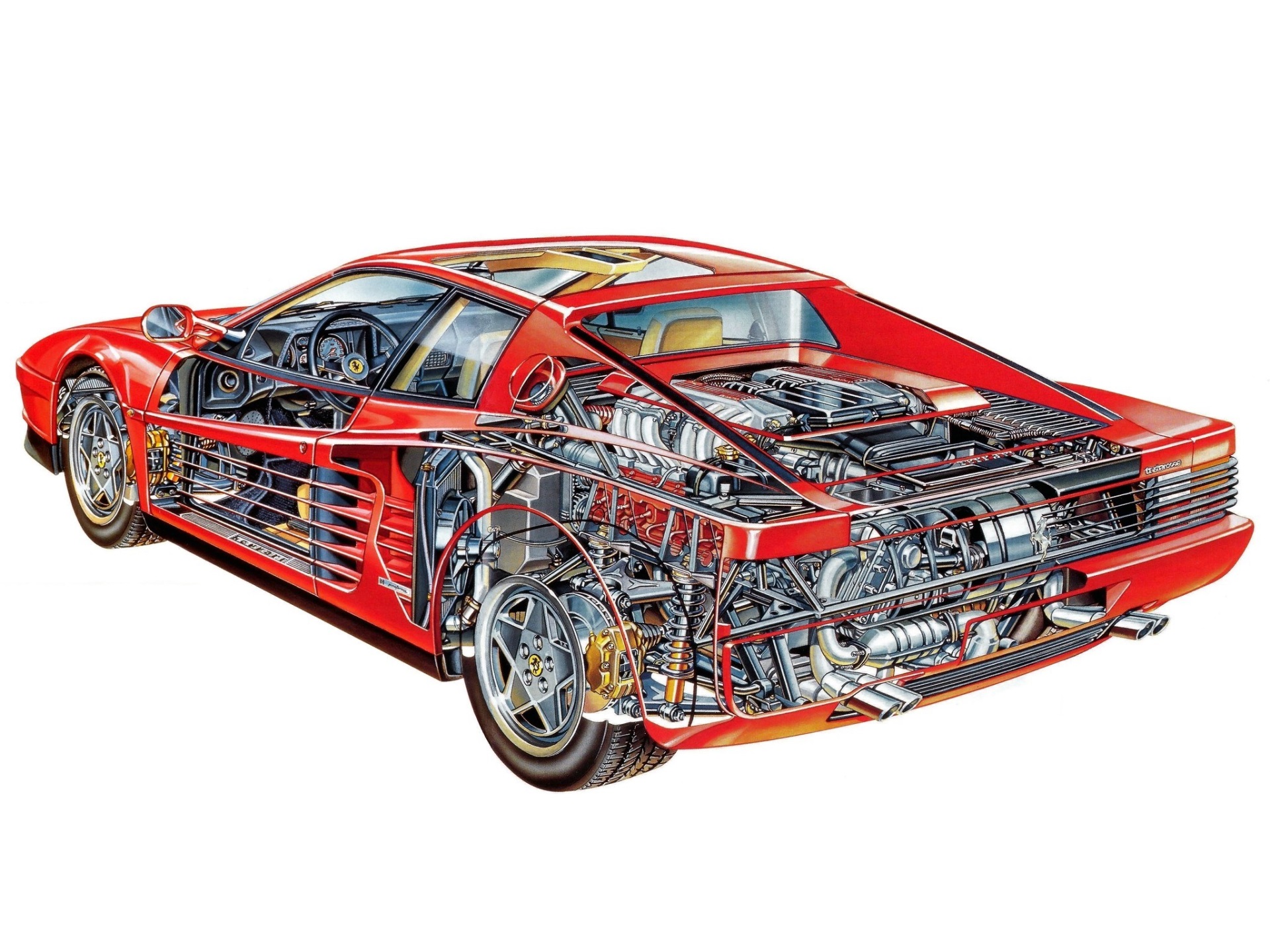 Ferrari Testarossa cutaway illustration HD Wallpaper