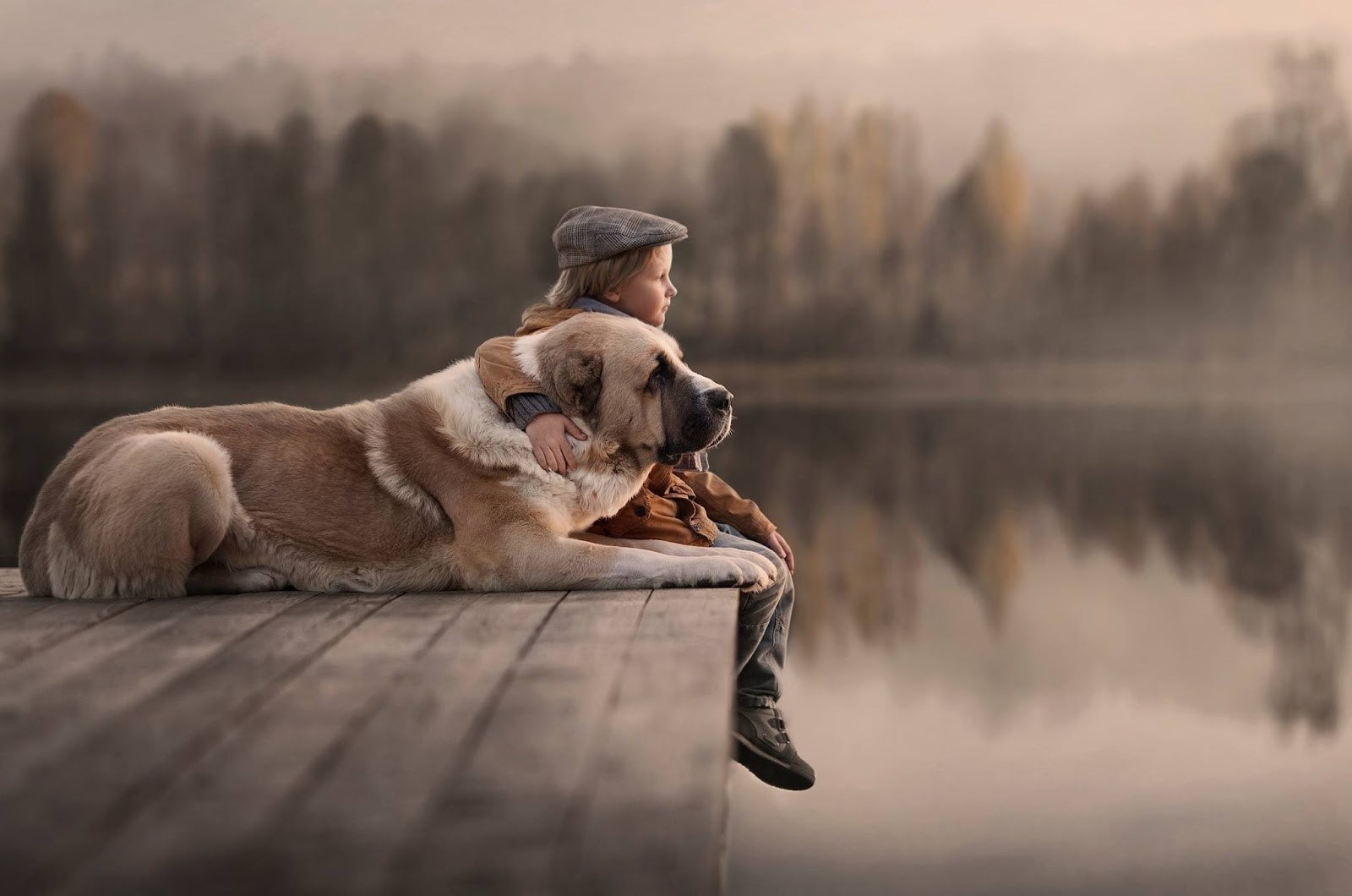 Boy and dog on a wooden dock HD Wallpaper