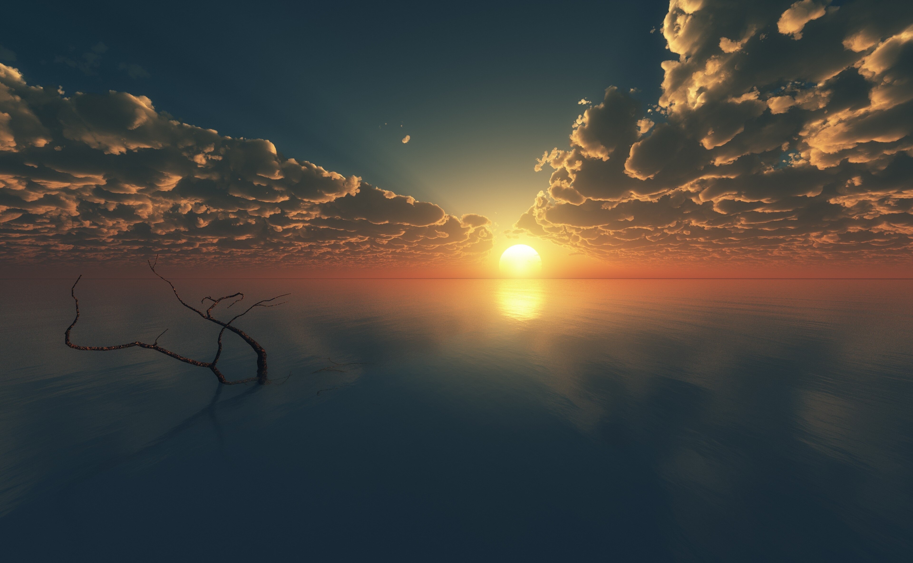 Sunset over the ocean with clouds and a dead tree HD Wallpaper
