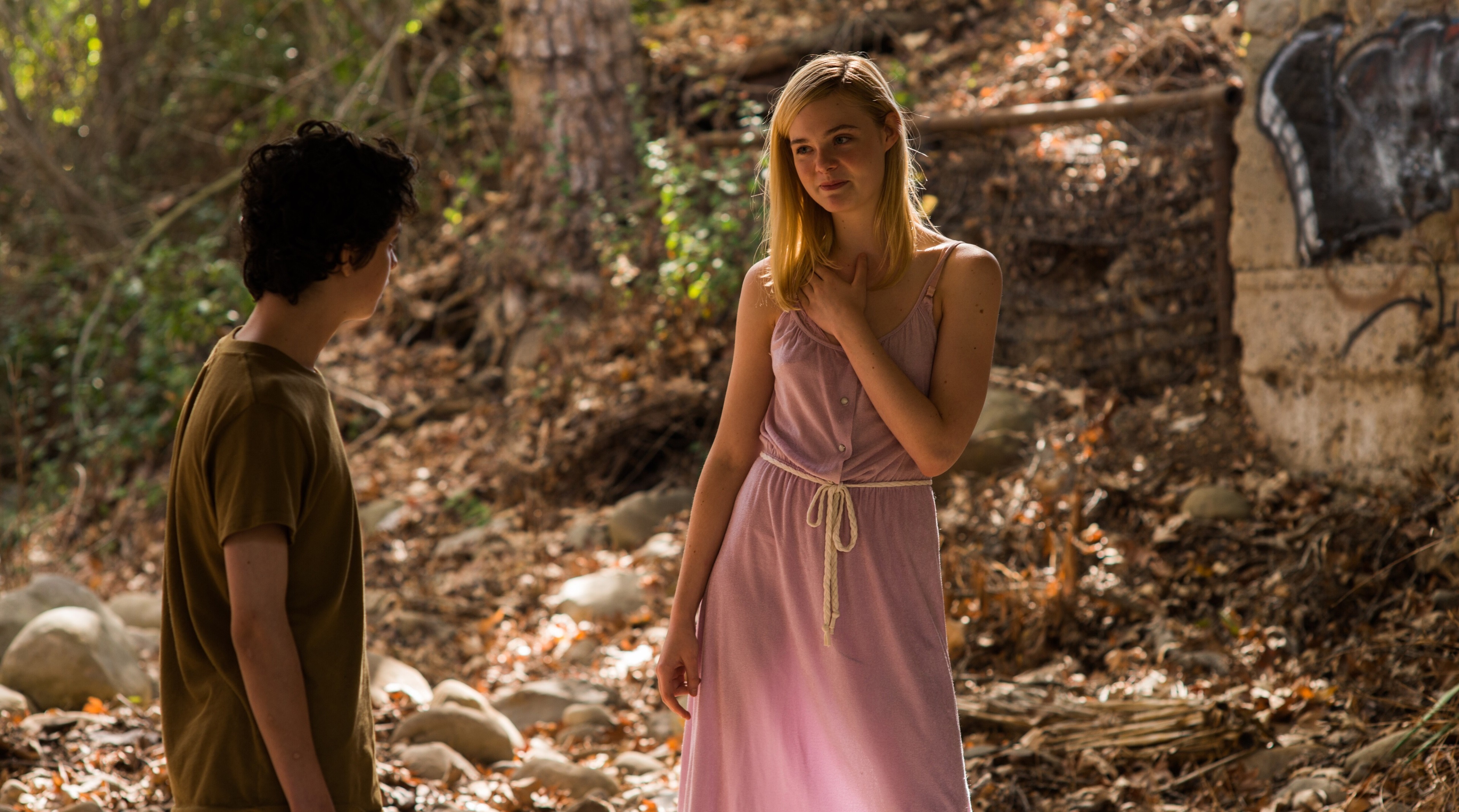 Elle Fanning in a pink dress in a forest HD Wallpaper