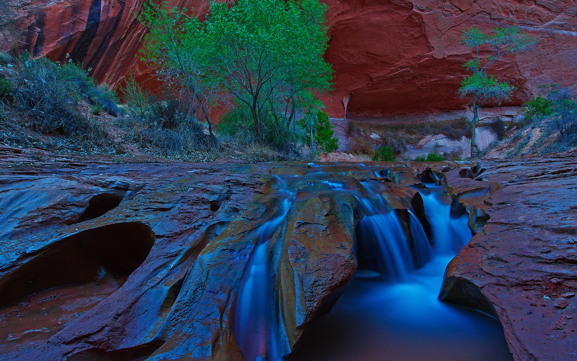 Canyon stream with red rock formations and trees HD Wallpaper