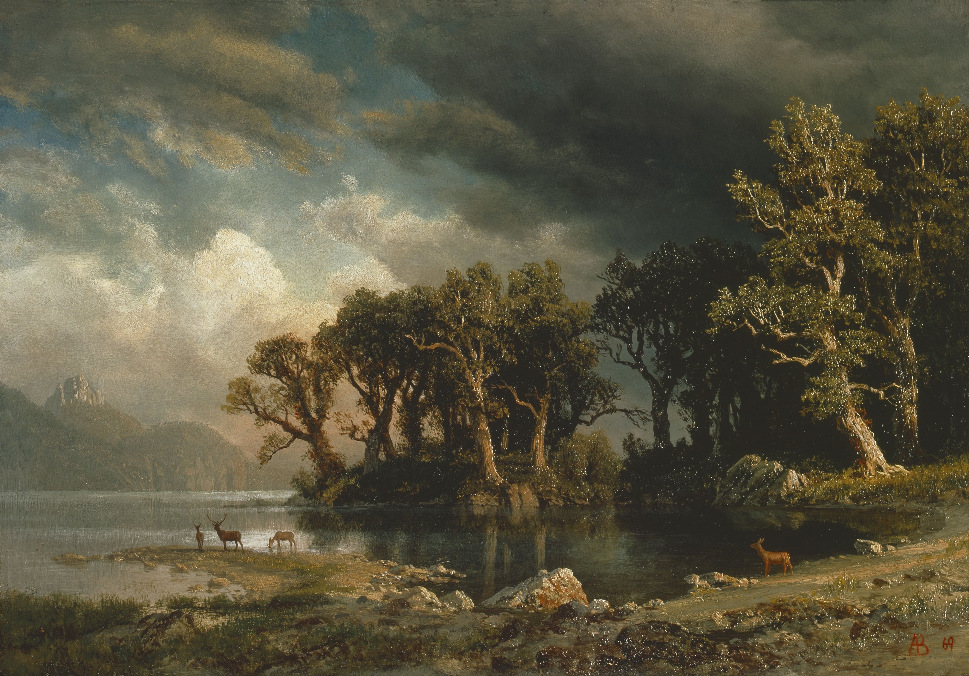 Stormy Sky Over Lake with Deer and Trees HD Wallpaper