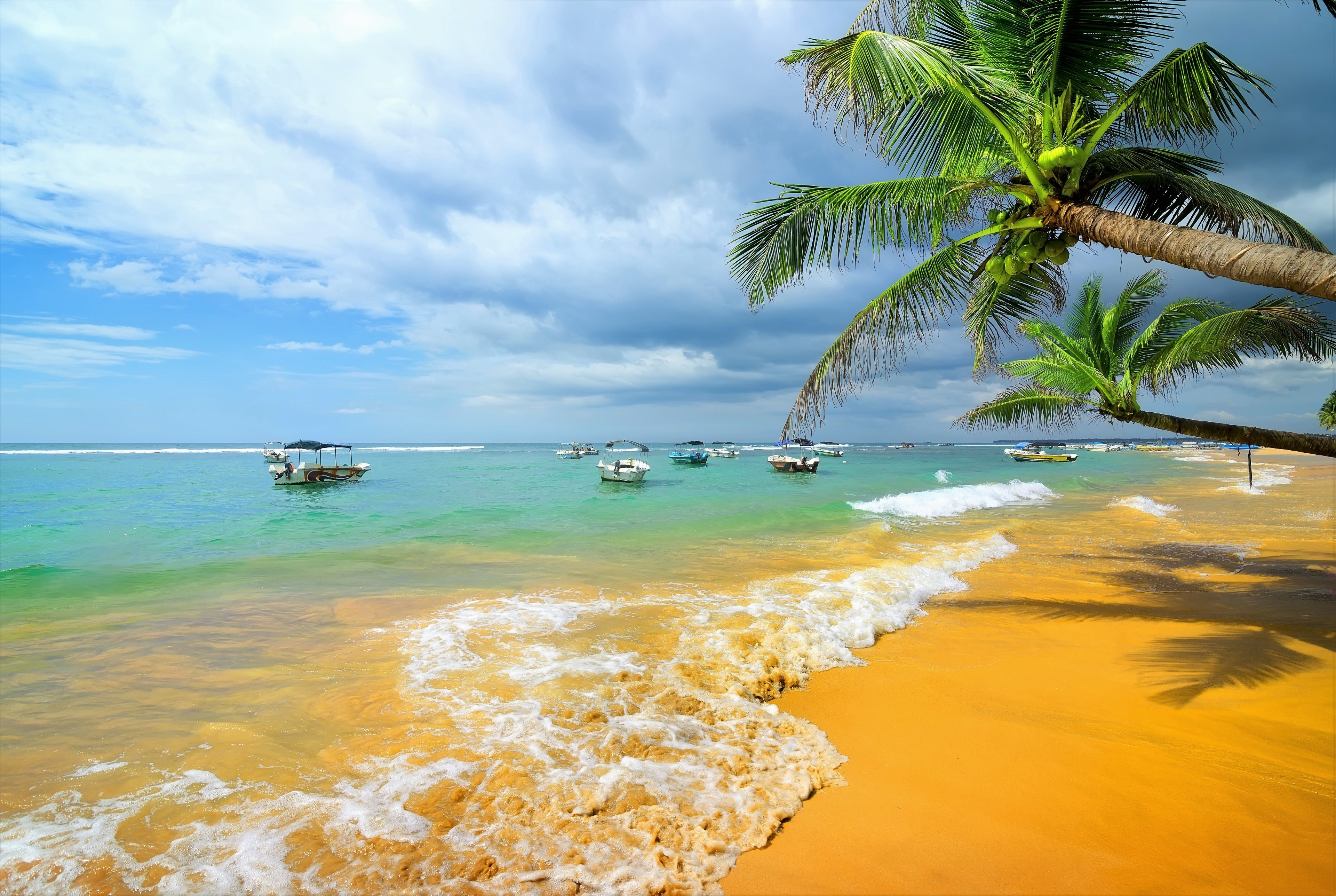 4K Tropical Beach with Palm Trees and Boats HD Wallpaper