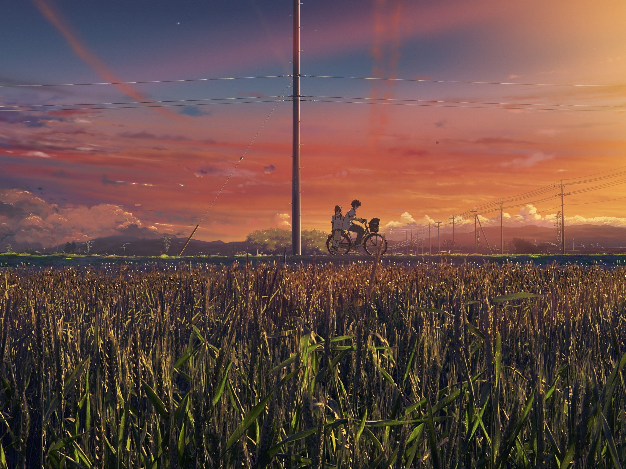 Anime couple on a bicycle at sunset over a field HD Wallpaper