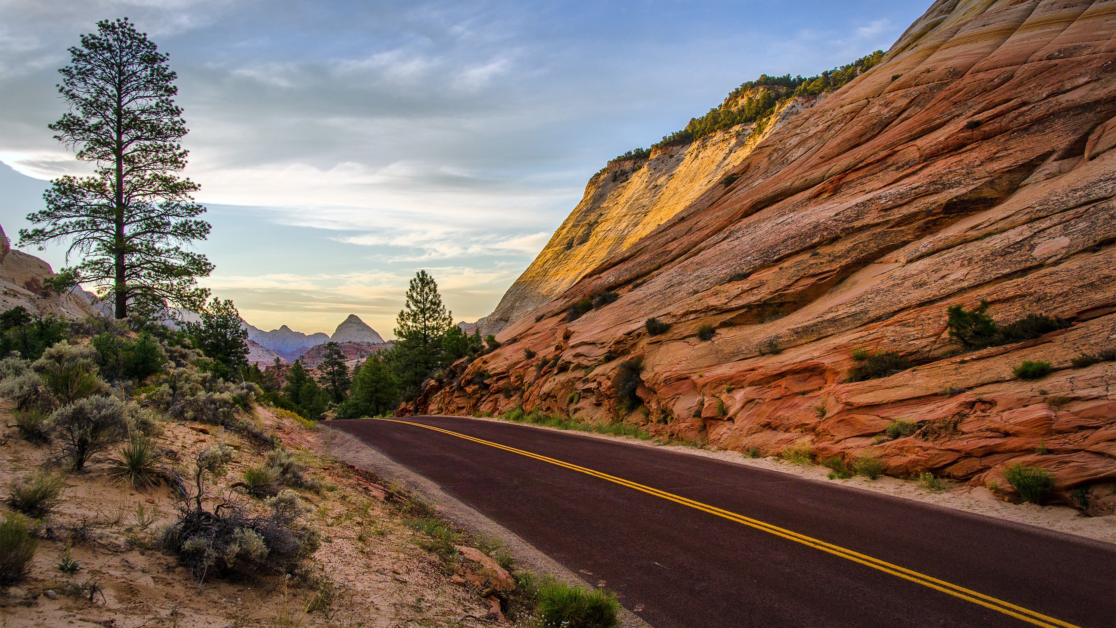 Road through Zion National Park landscape HD Wallpaper