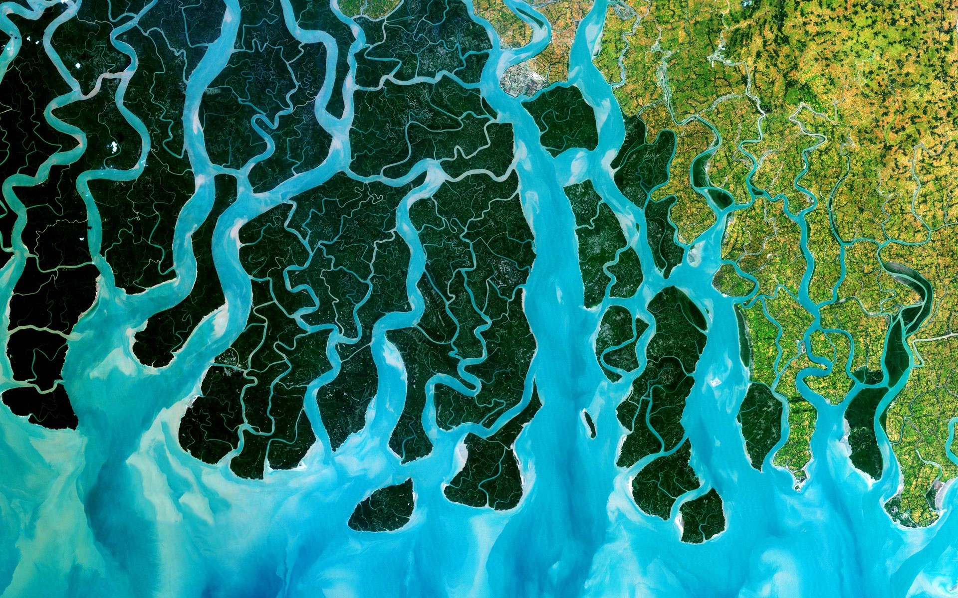 Aerial view of the Ganges River Delta in Bangladesh HD Wallpaper