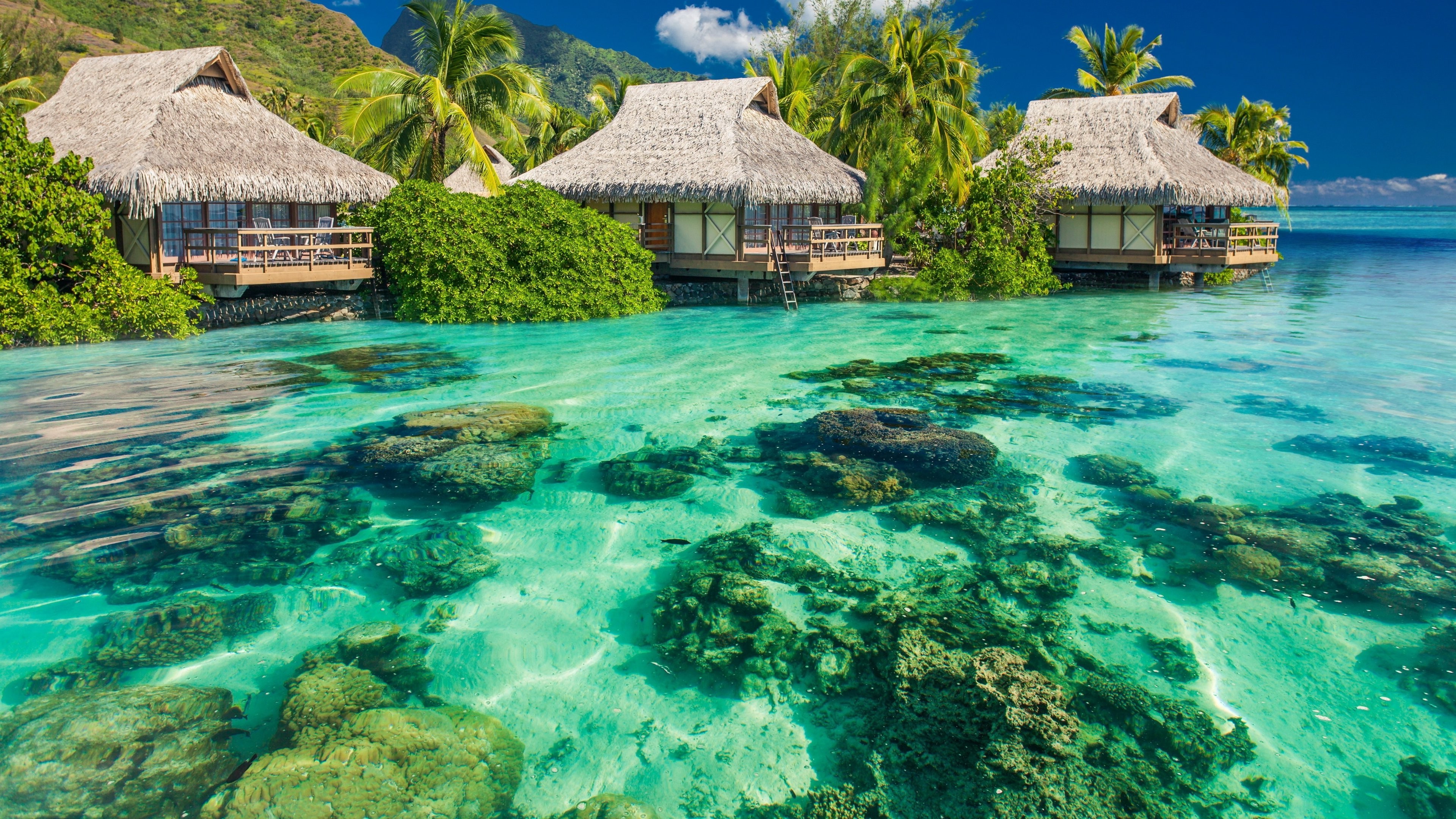 Overwater bungalows in a tropical lagoon with coral reefs HD Wallpaper