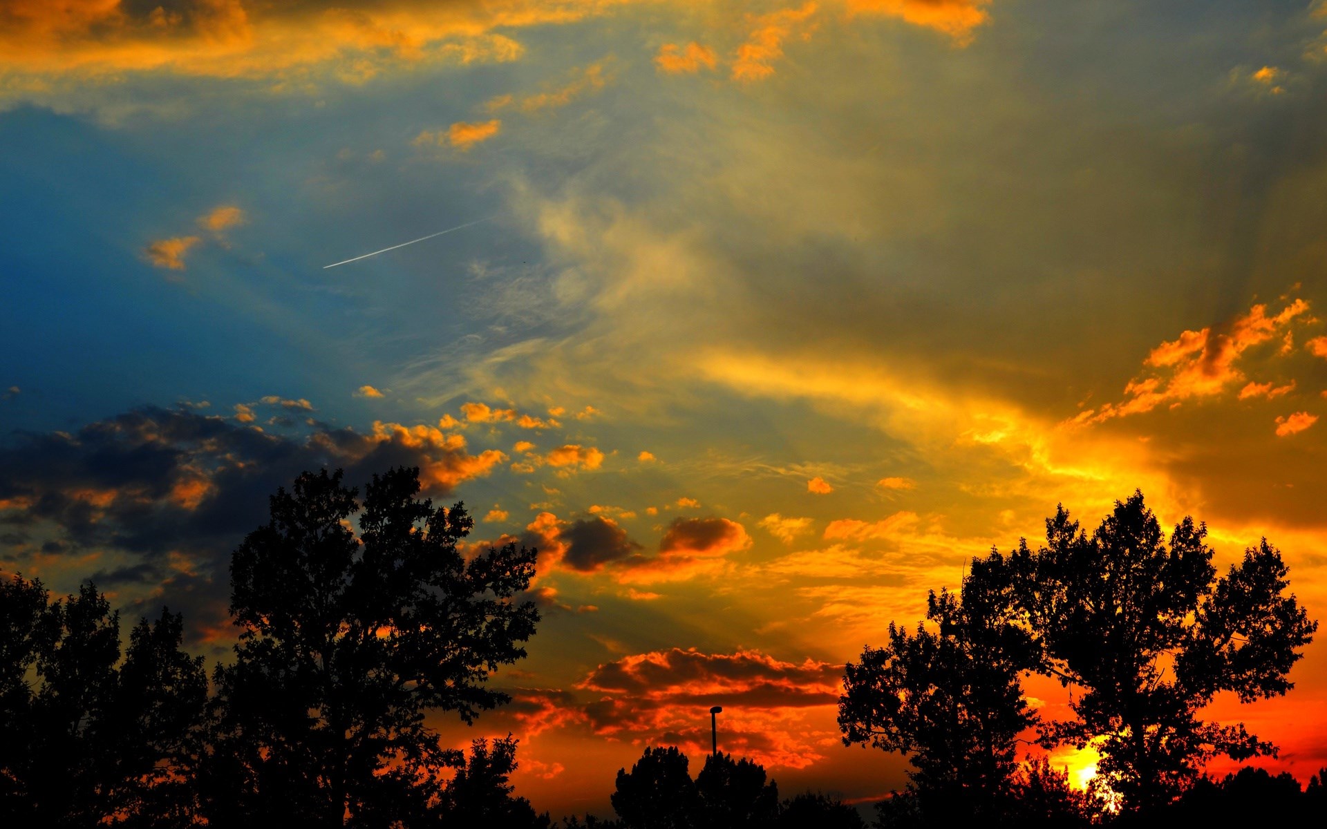 Sunset Sky with Silhouetted Trees and Airplane Trail HD Wallpaper