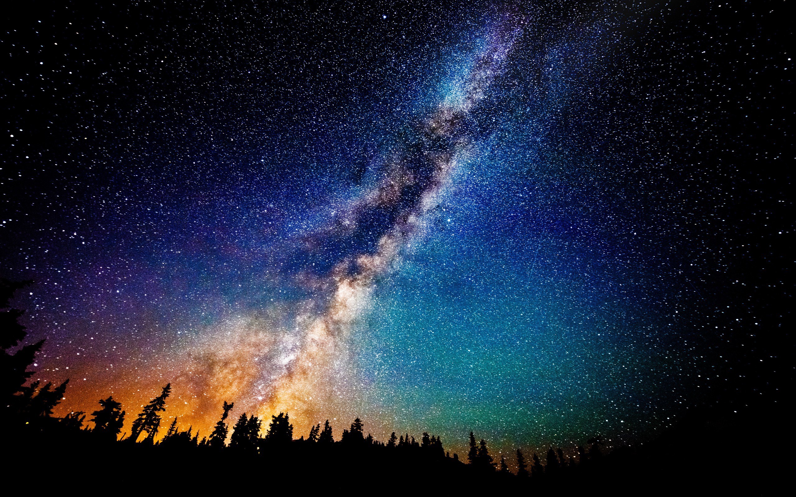 Milky Way galaxy over a silhouetted forest HD Wallpaper