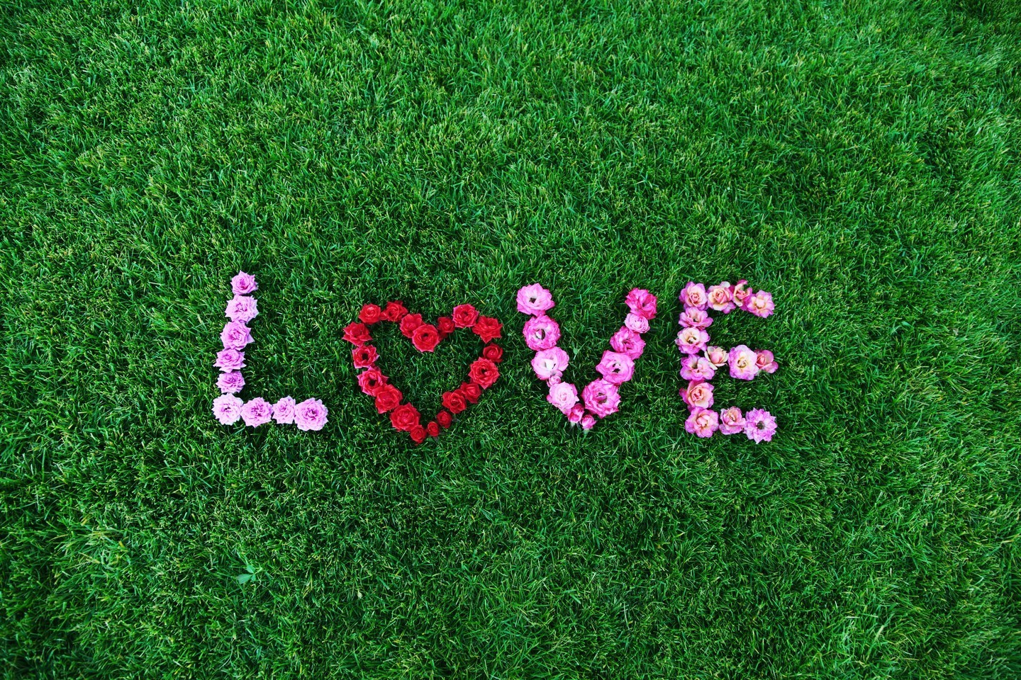 The word LOVE spelled out with flowers on grass HD Wallpaper