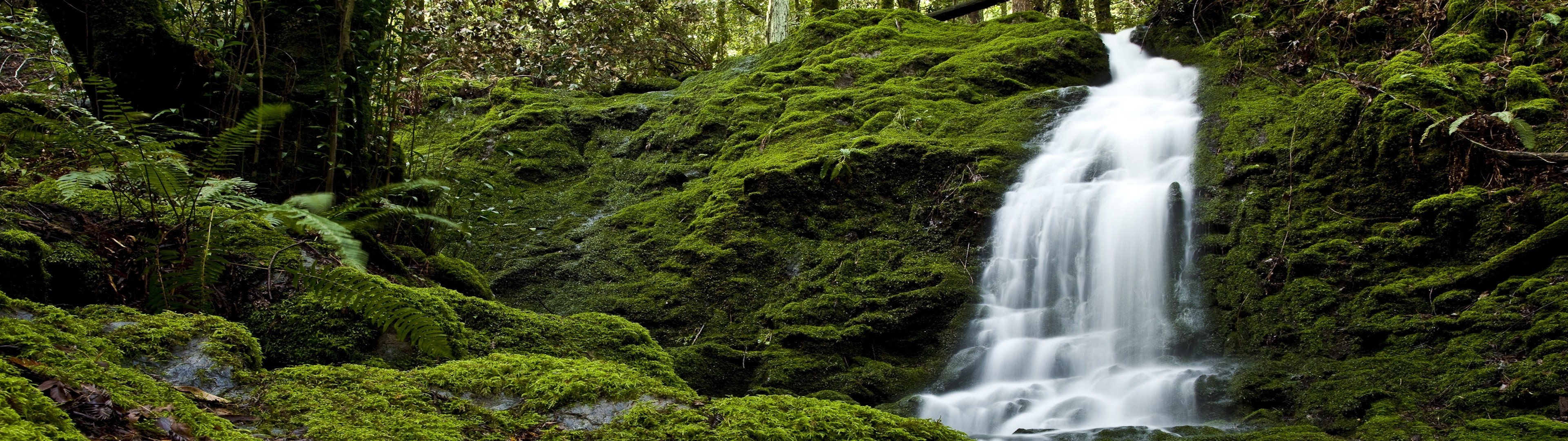 Mossy waterfall in a forest HD Wallpaper