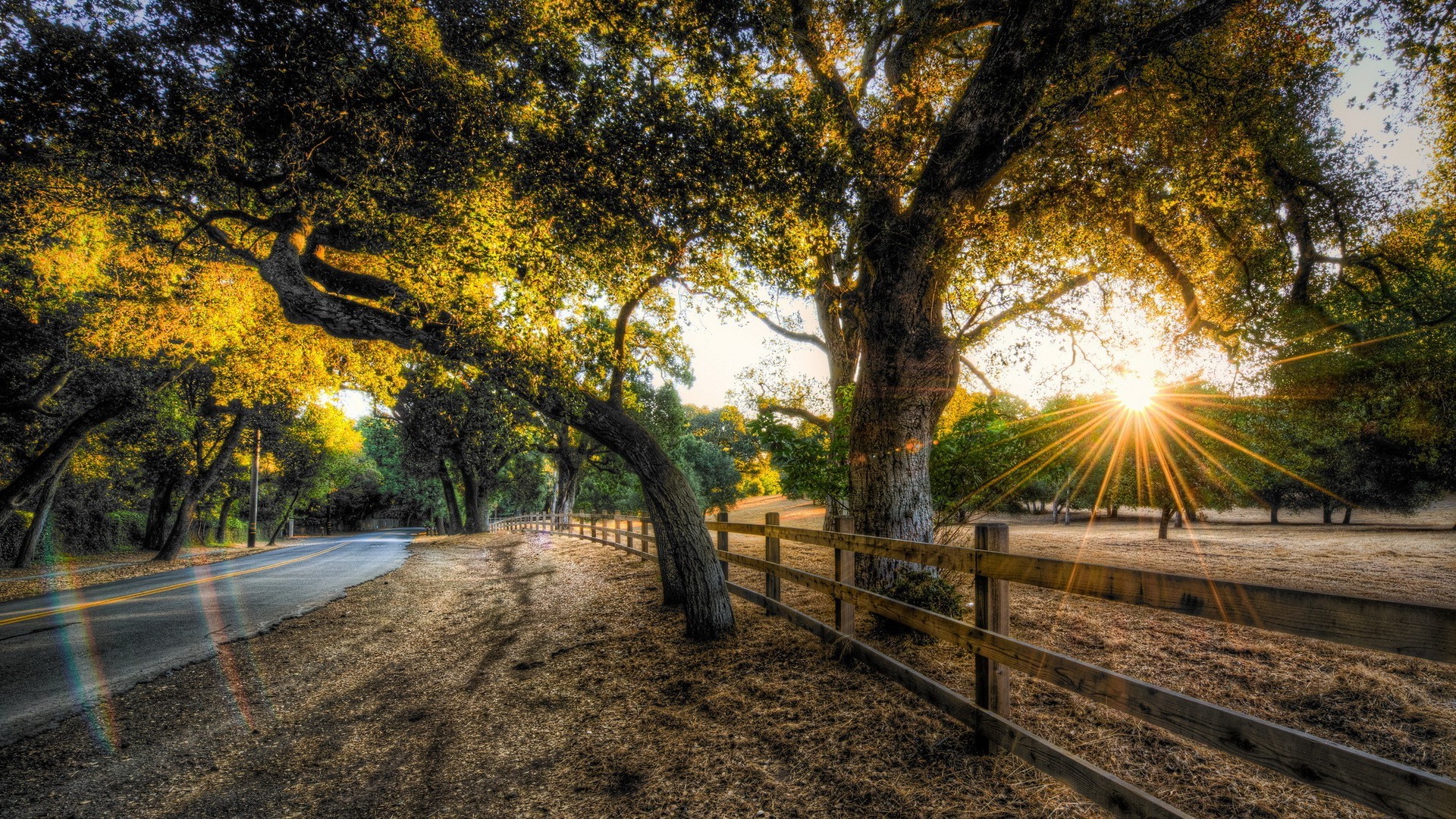 Sunset over a tree-lined road with a wooden fence HD Wallpaper