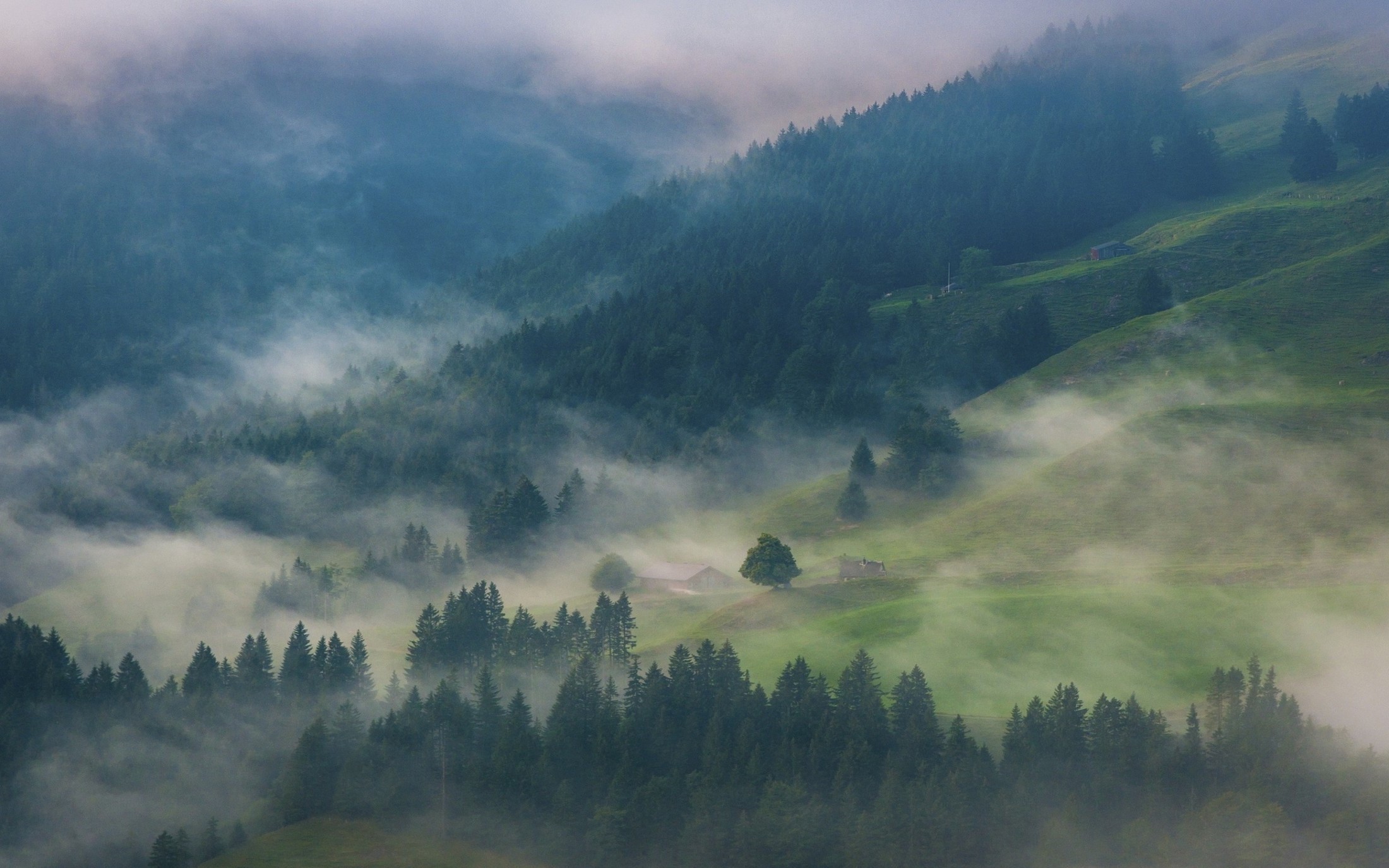 Misty mountain forest with cabins at sunrise HD Wallpaper