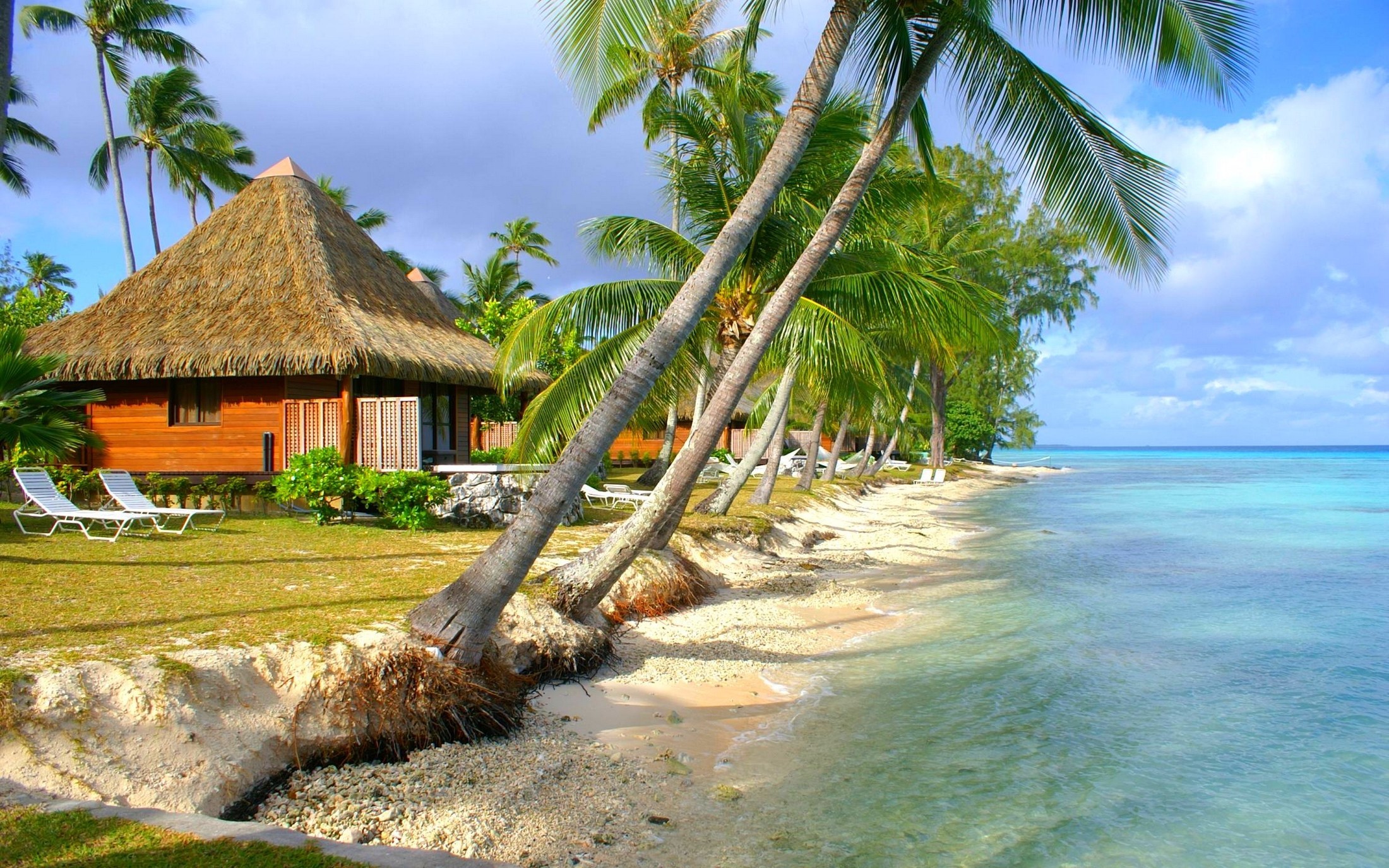 Tropical Beach with Palm Trees and Bungalows HD Wallpaper