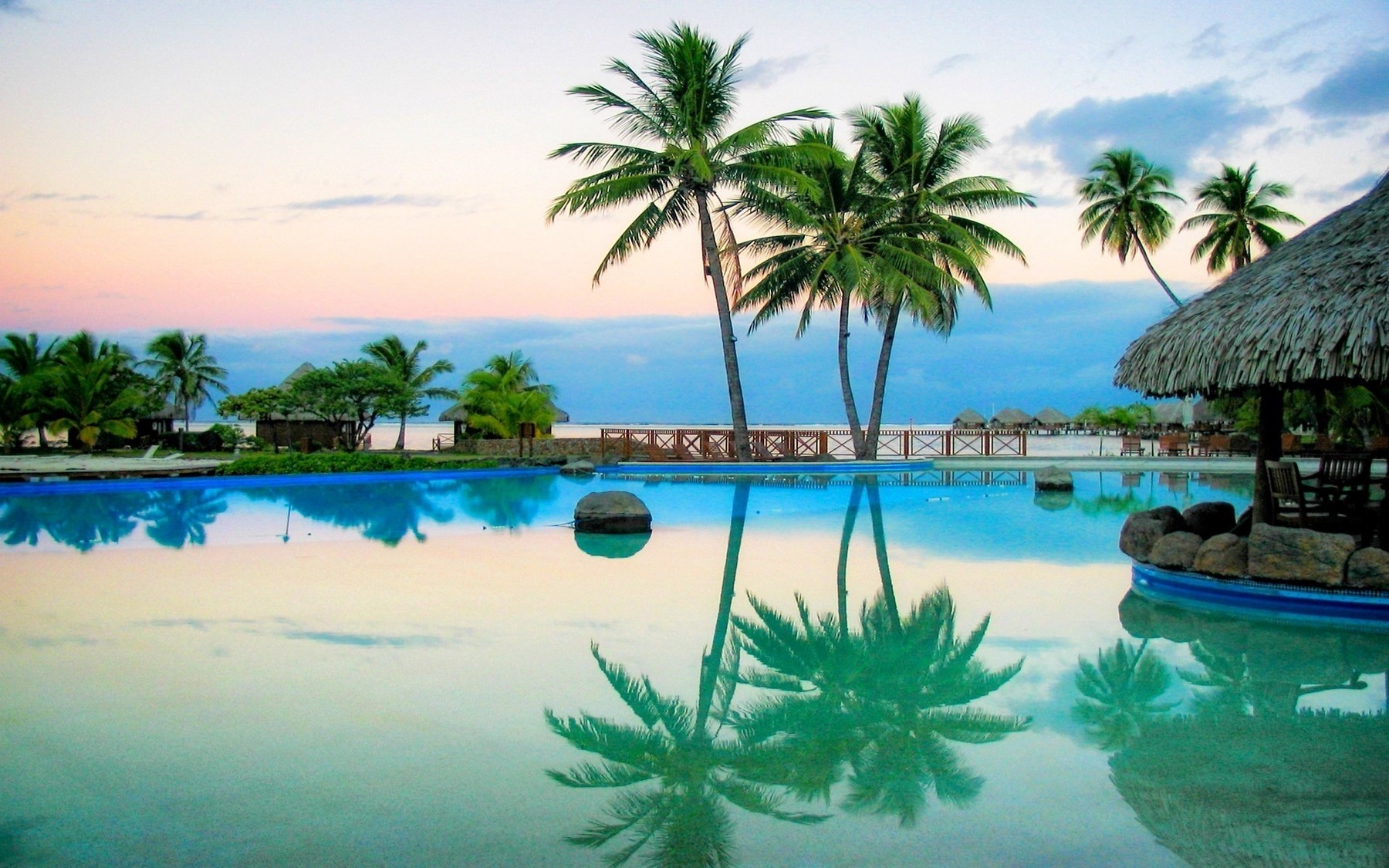 Tropical resort with swimming pool and palm trees at sunrise HD Wallpaper