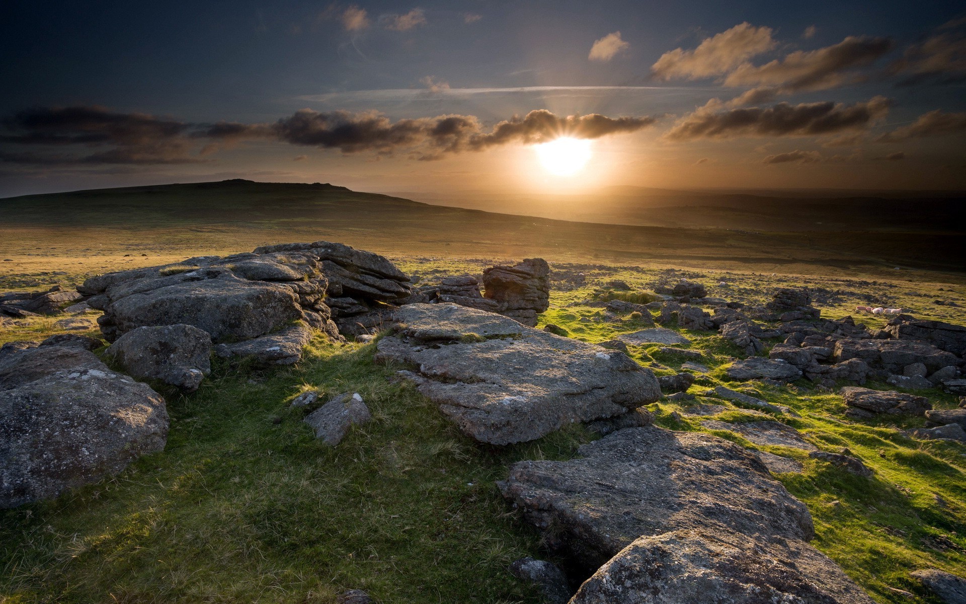Sunset over rocky hills with sheep in the UK HD Wallpaper