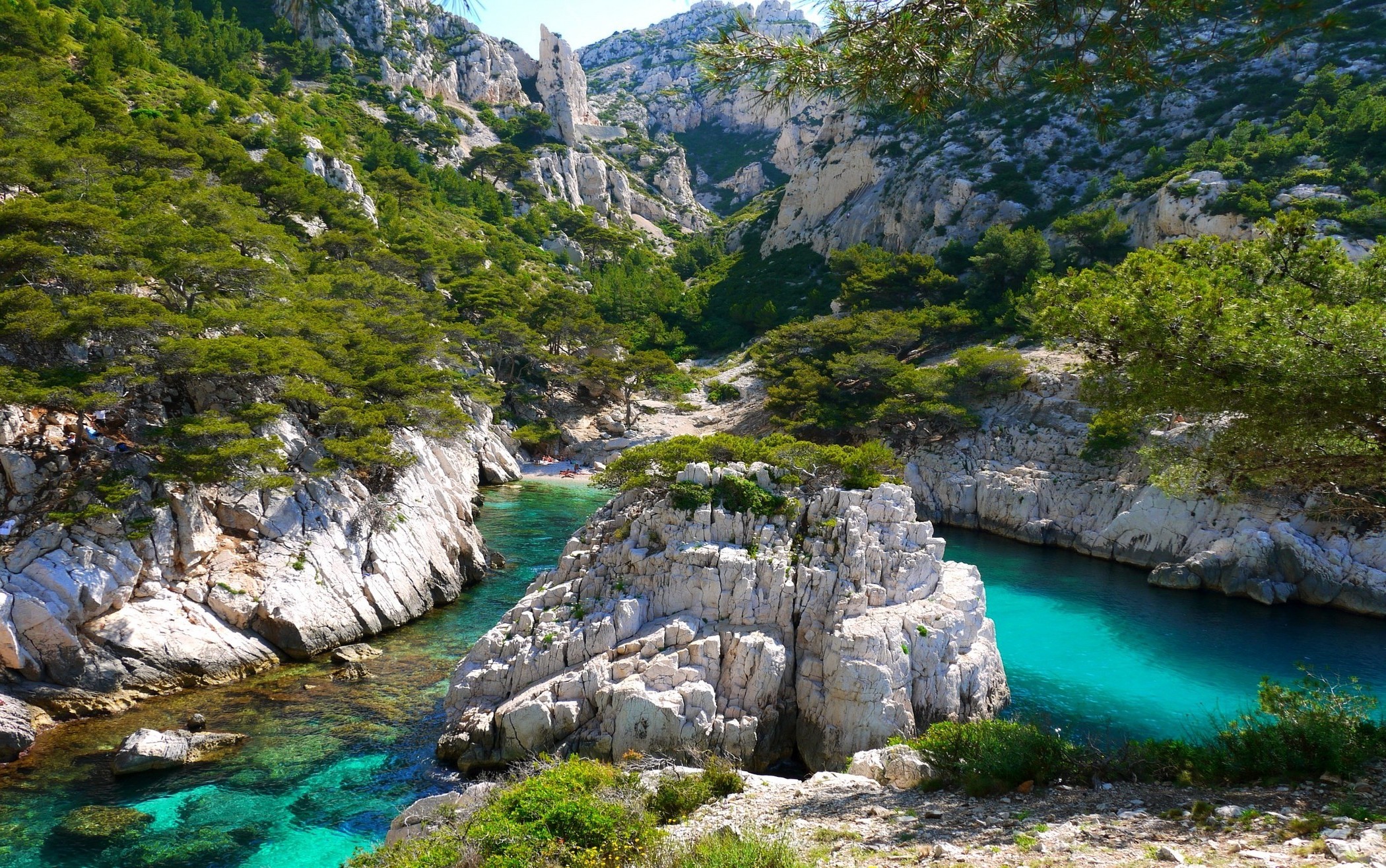 Turquoise Cove with Limestone Cliffs and Trees HD Wallpaper