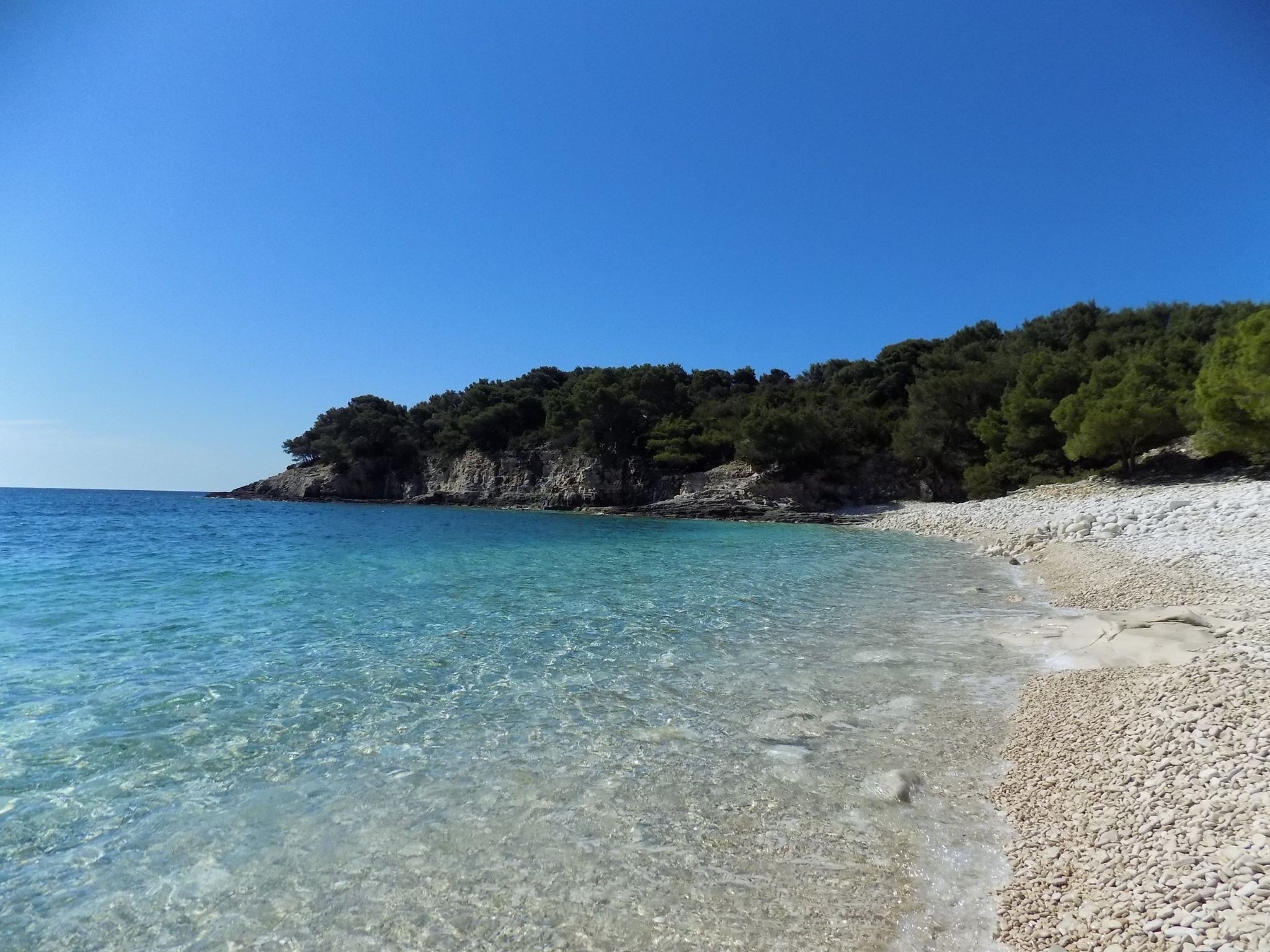 Pebble beach with clear turquoise water and green trees in Croatia HD Wallpaper