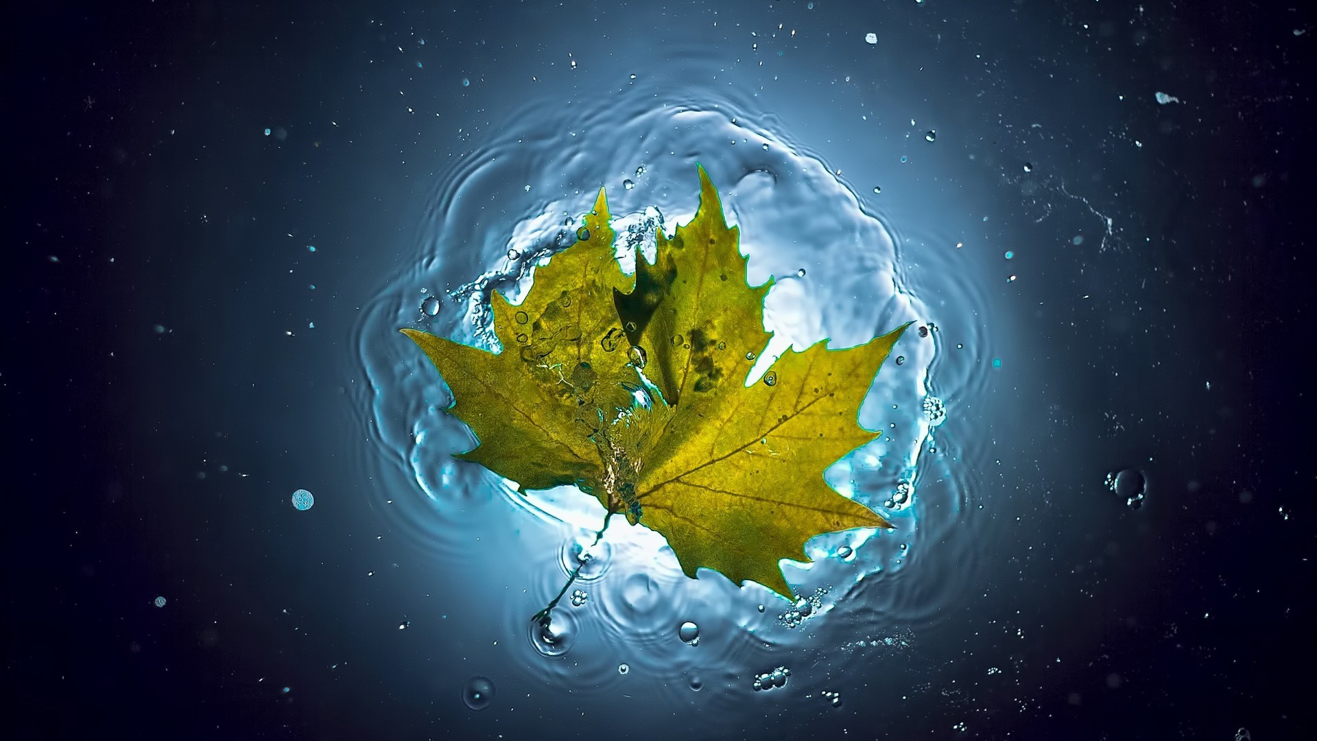 Yellow maple leaf underwater with ripples and bubbles HD Wallpaper