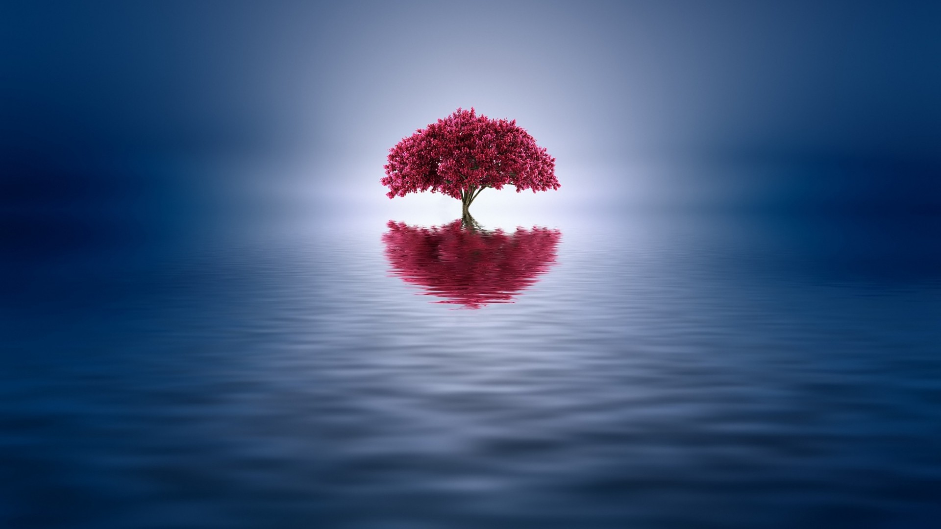 Minimalist tree with red leaves reflected in water HD Wallpaper