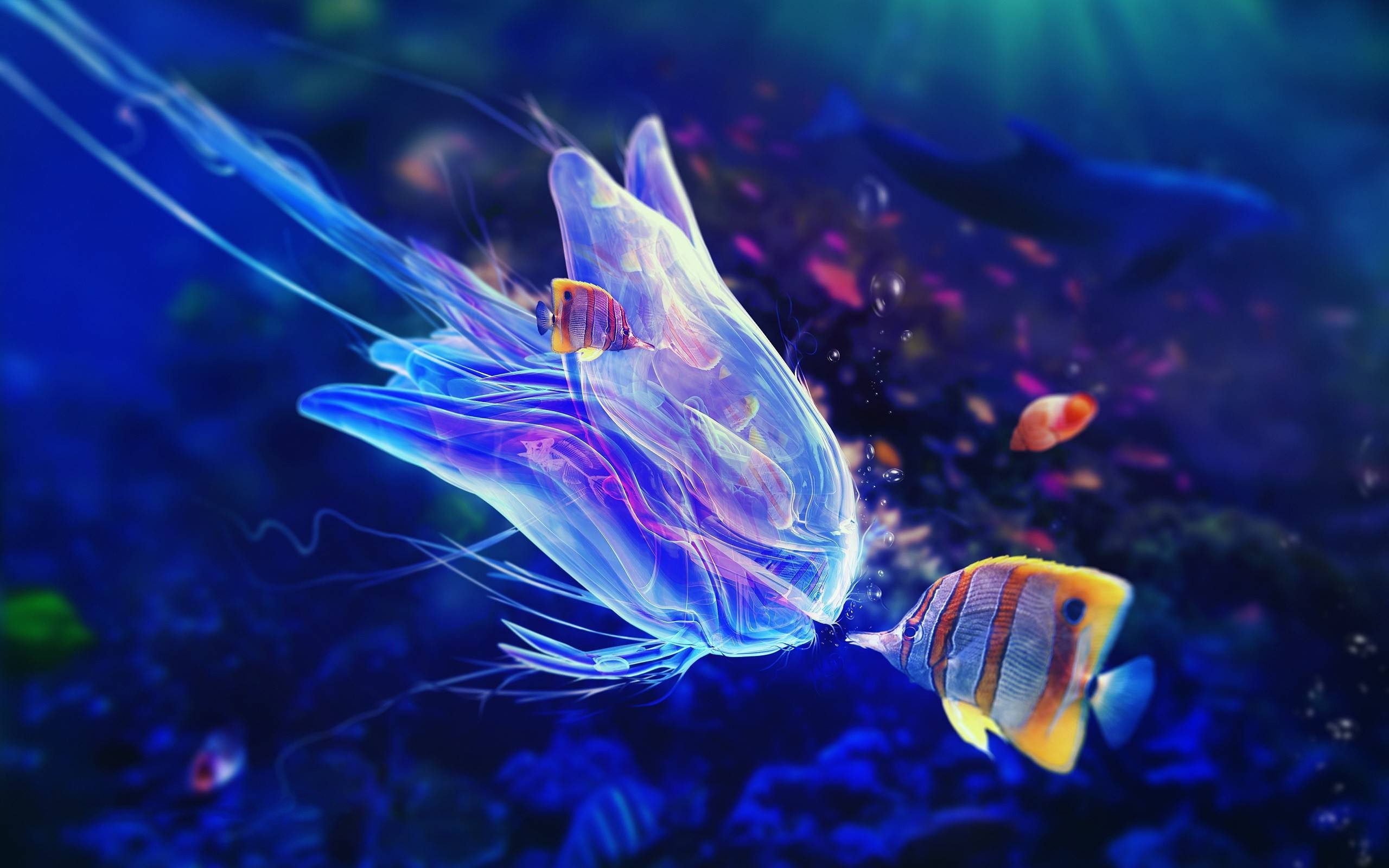 Glowing jellyfish and fish underwater HD Wallpaper