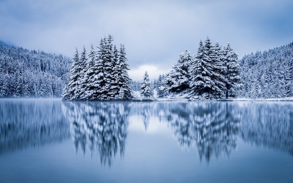 Snow-Covered Pine Trees by a Calm Winter Lake HD Wallpaper