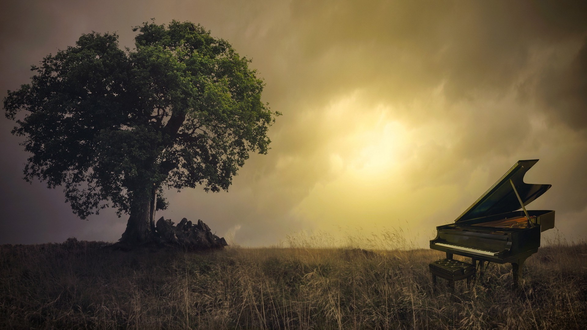 Grand piano and tree in a field HD Wallpaper