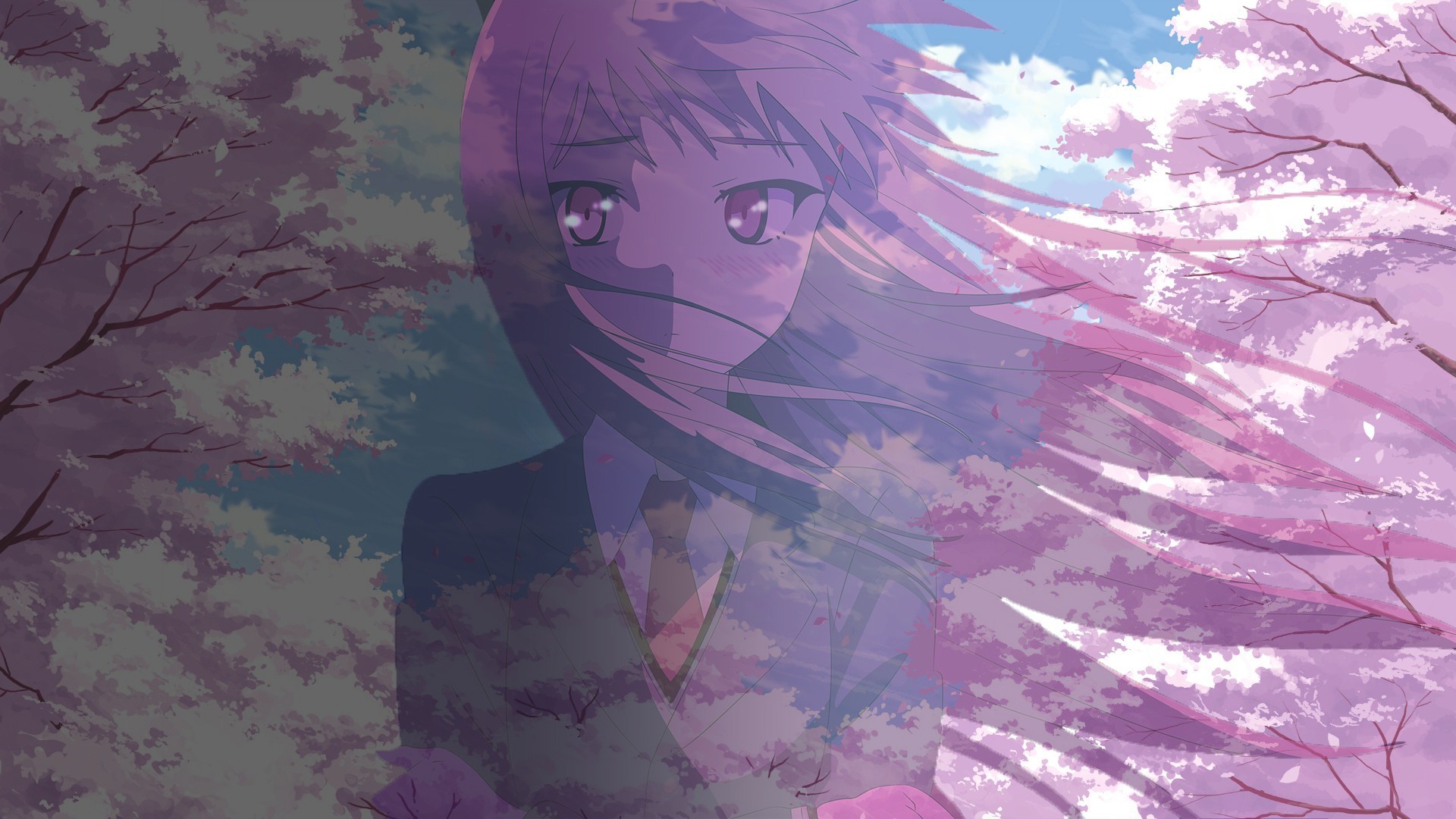 Shiina Mashiro from Sakurasou no Pet na Kanojo HD Wallpaper