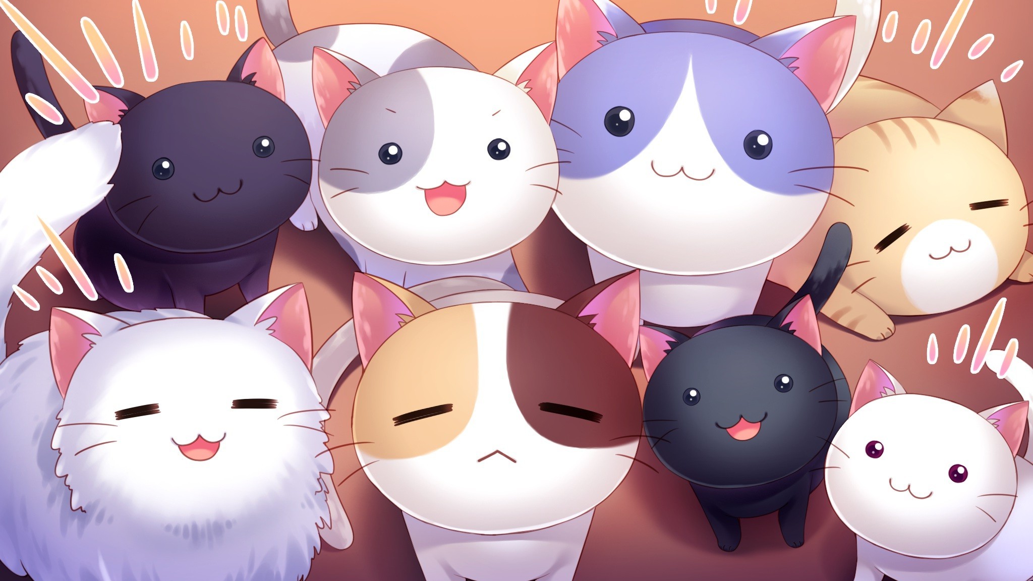 Group of cute anime cats HD Wallpaper