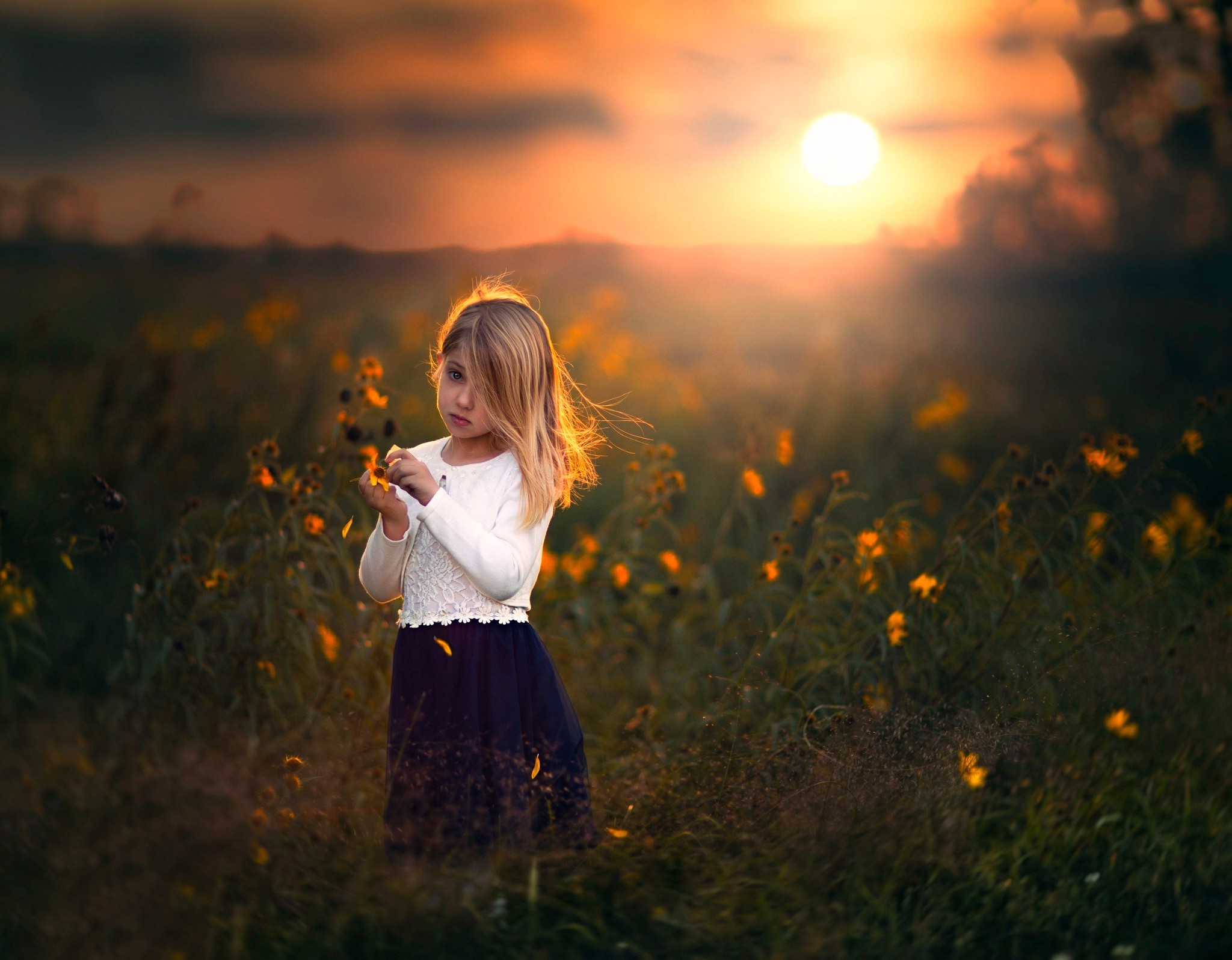 Girl in a field at sunset HD Wallpaper