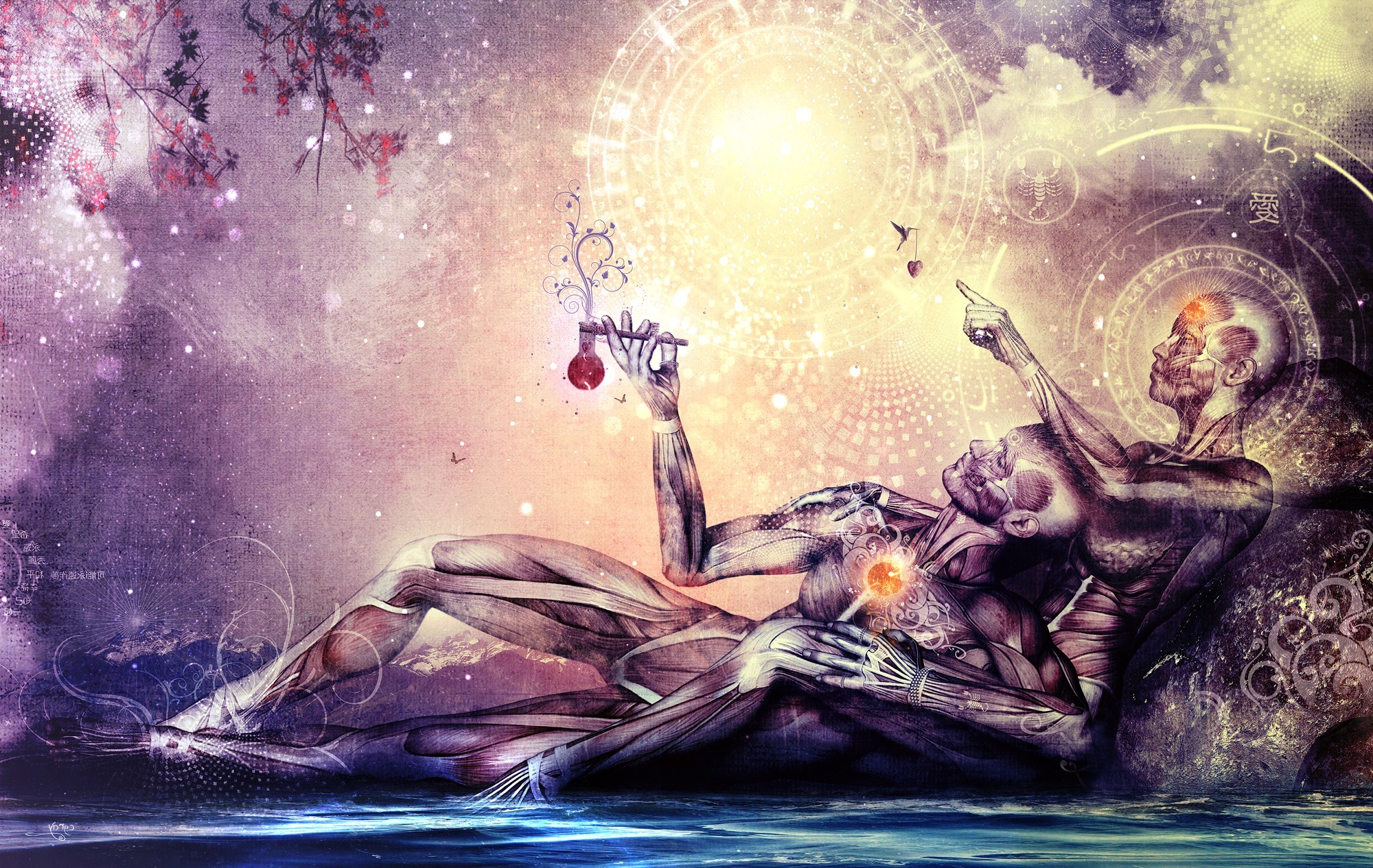 Spiritual sacred geometry with anatomical figures HD Wallpaper