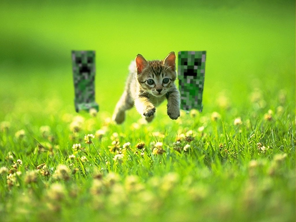 Cat Chased by Minecraft Creeper in Grass HD Wallpaper