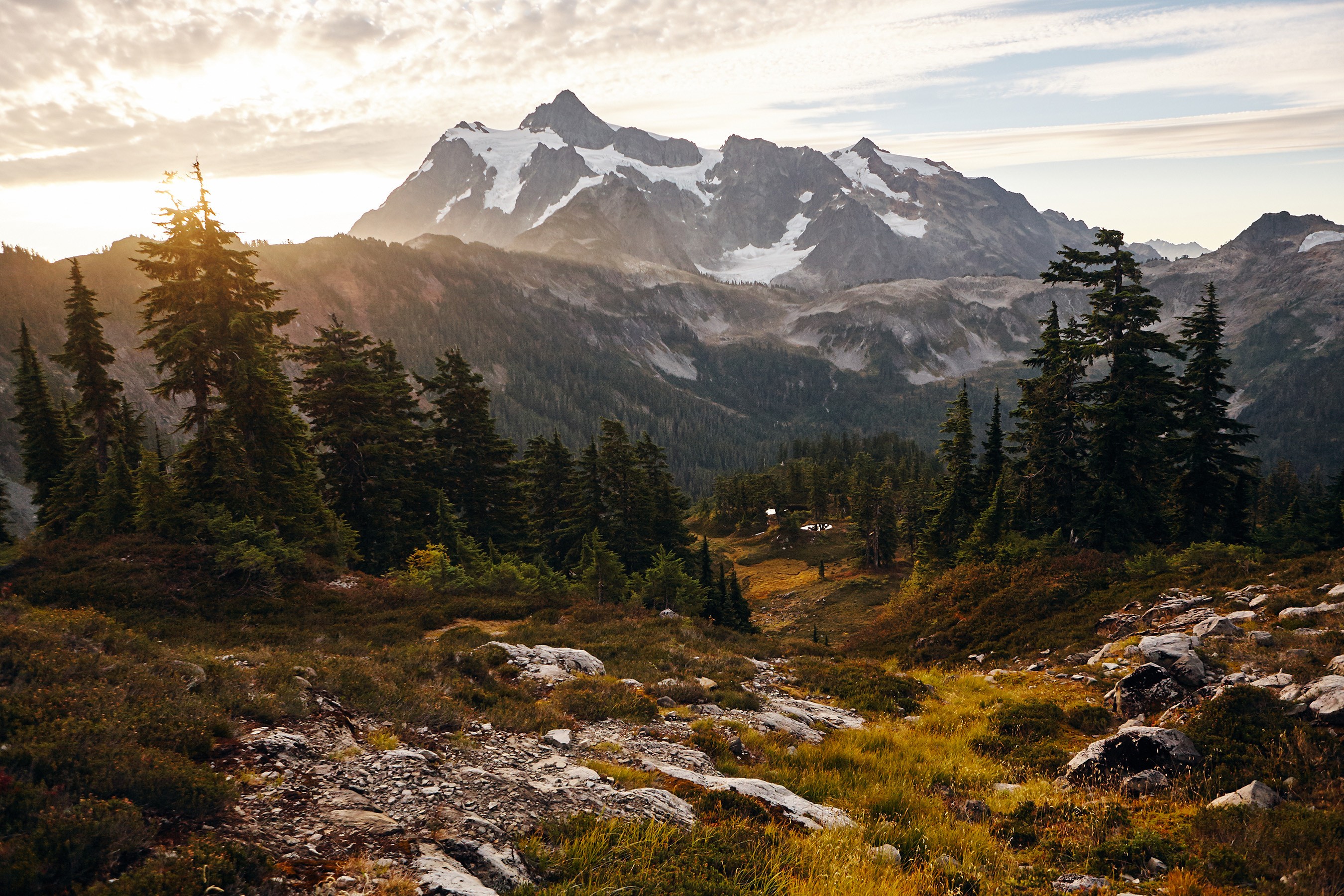 Snow-capped mountains and evergreen trees at sunset HD Wallpaper