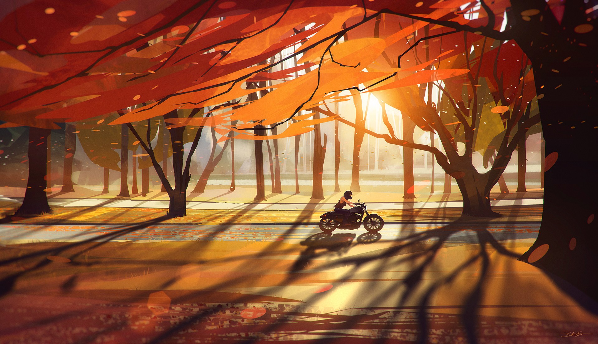 Motorcyclist on a road during sunset with fall foliage HD Wallpaper