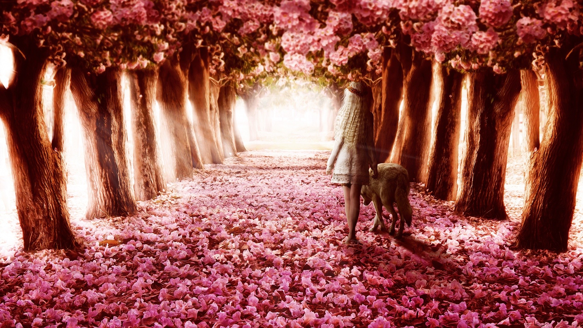 Girl and wolf walking on a path covered in pink flowers HD Wallpaper