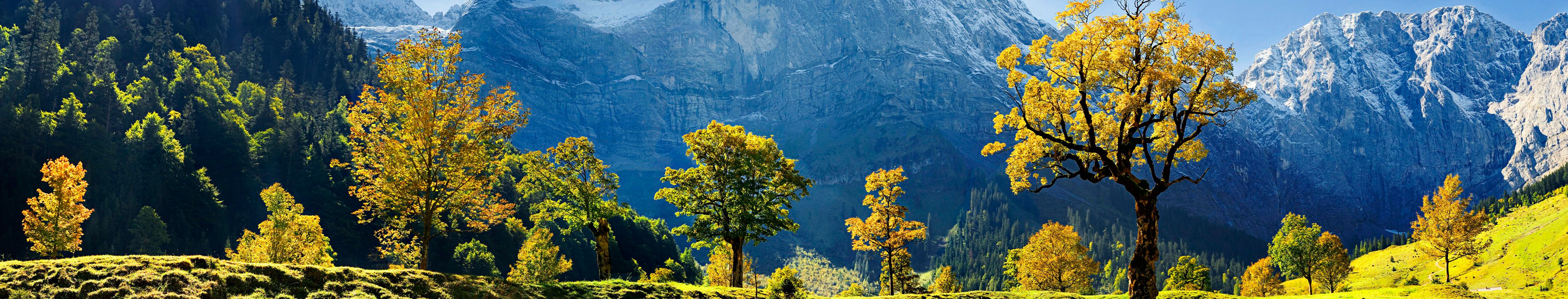 Autumn trees in front of snow-capped mountains in Austria HD Wallpaper