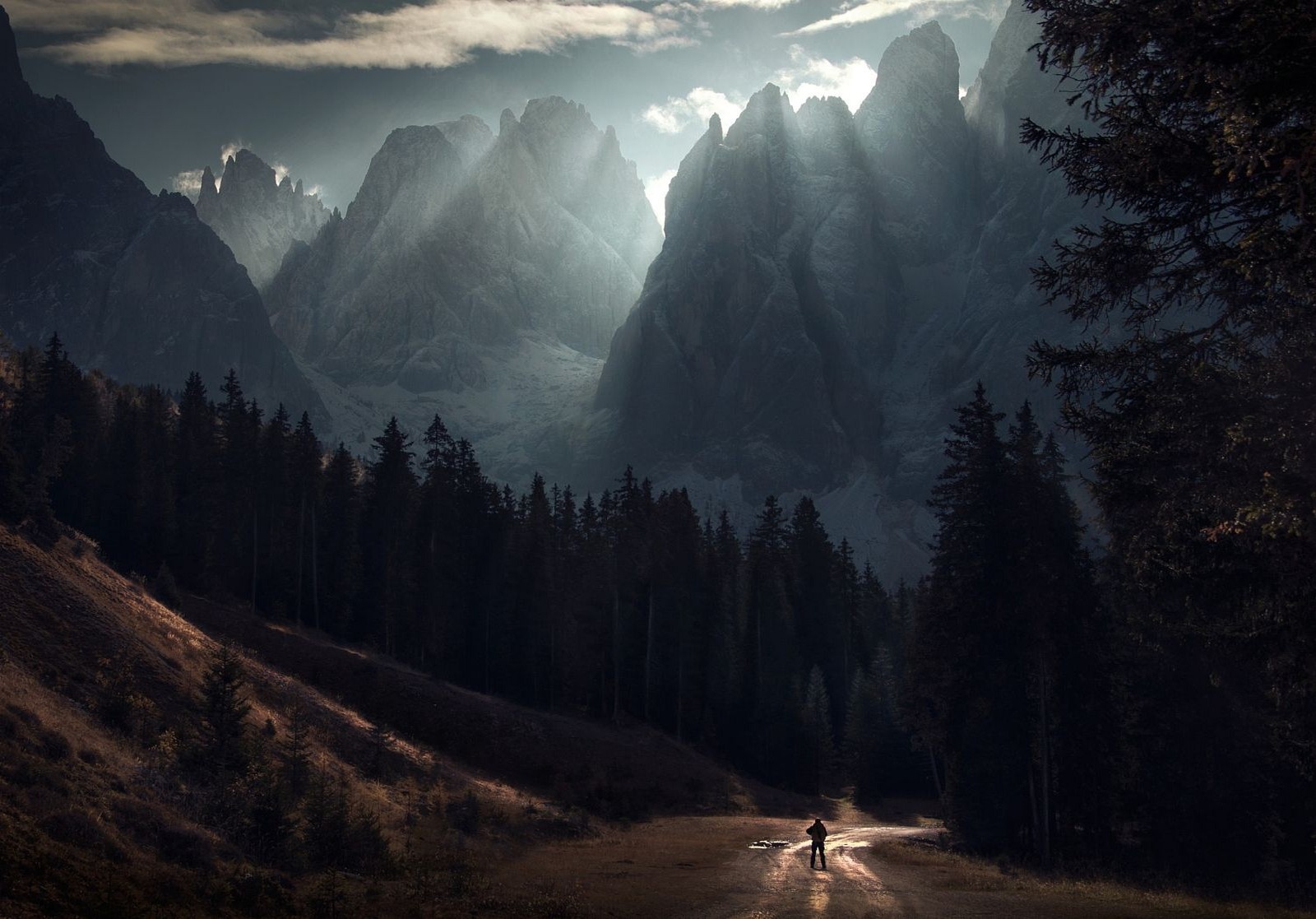 Man on dirt road in front of sunlit mountains and forest HD Wallpaper