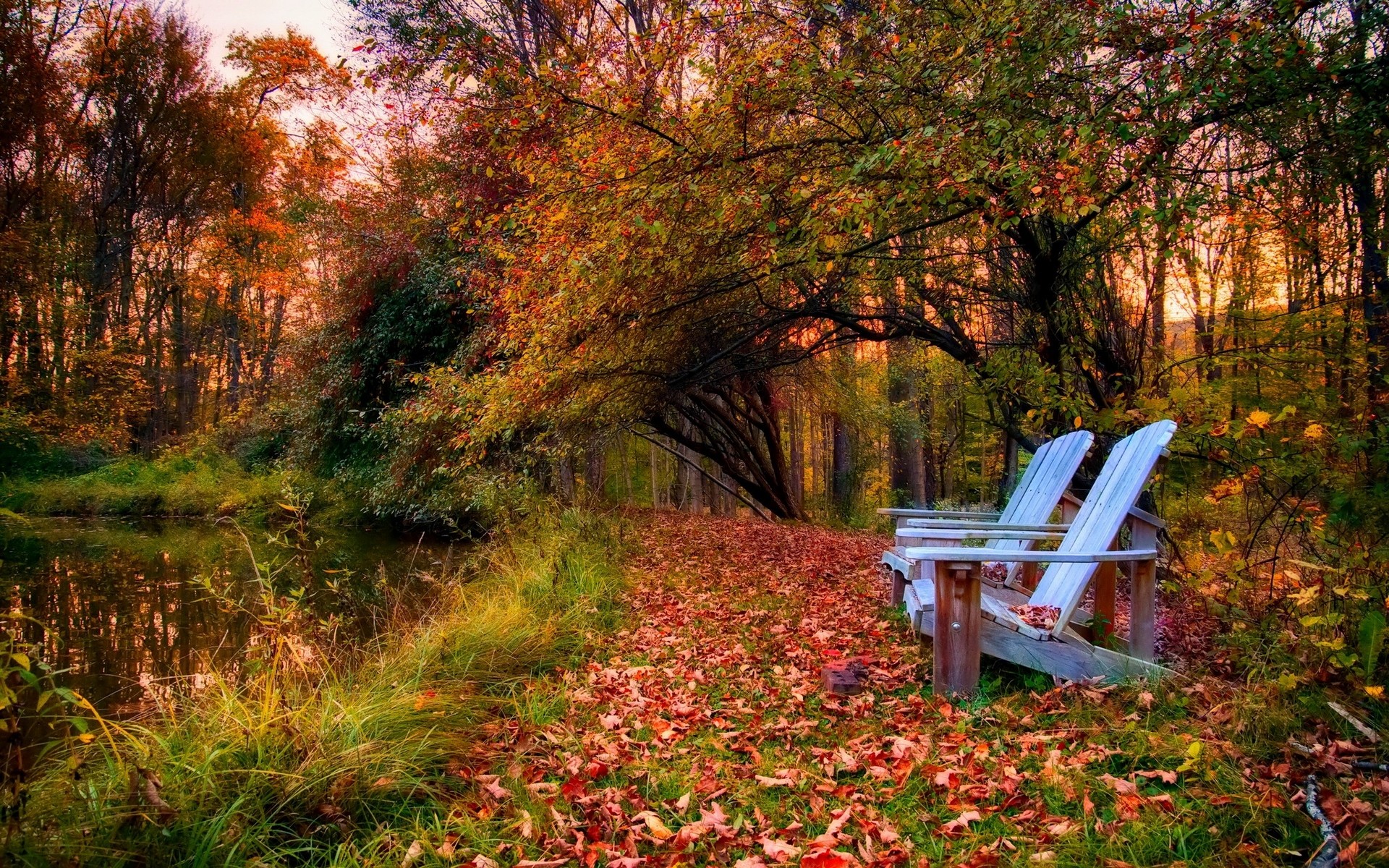 Autumn forest path with chairs by a pond HD Wallpaper