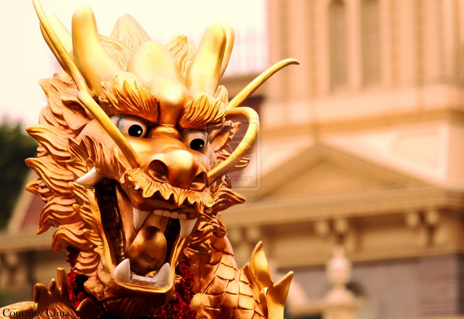 Golden Chinese Dragon Statue with Building Background HD Wallpaper