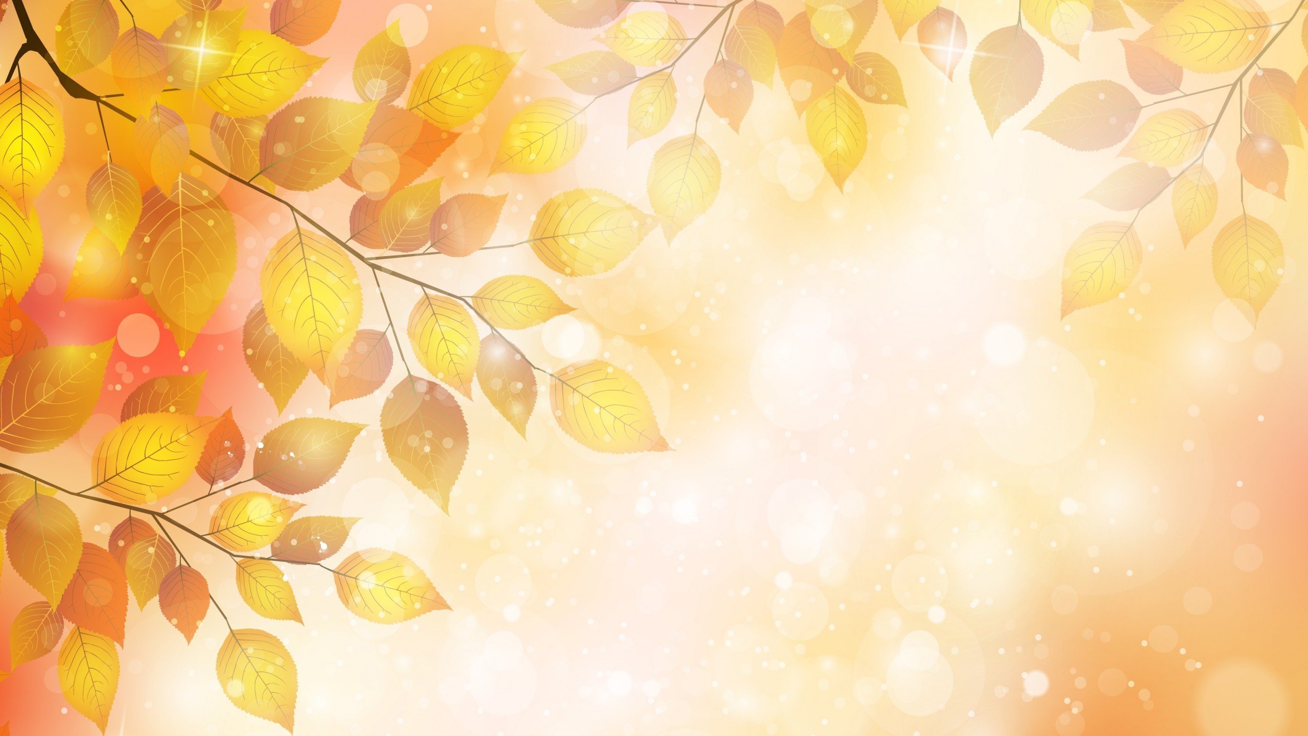 Autumn leaves on branches with bokeh effect HD Wallpaper