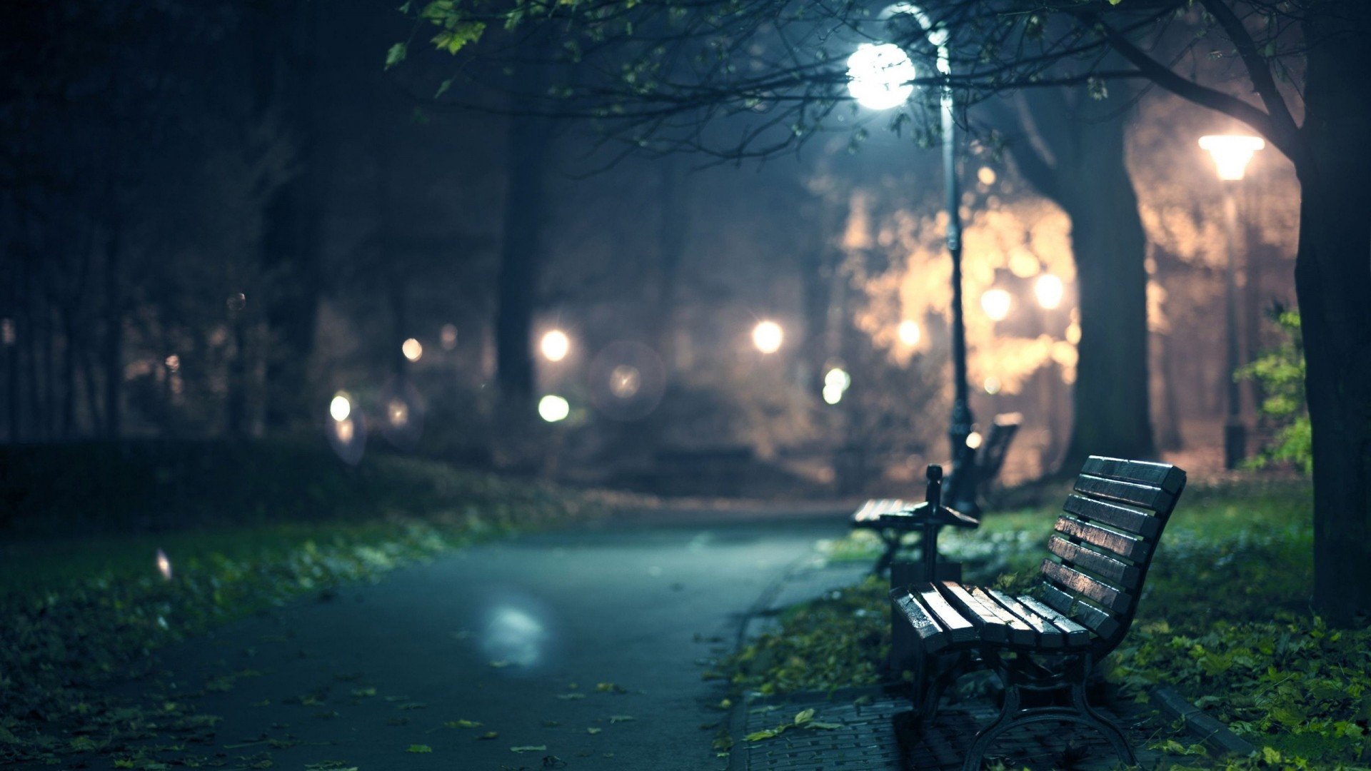 Night park with benches and streetlights HD Wallpaper