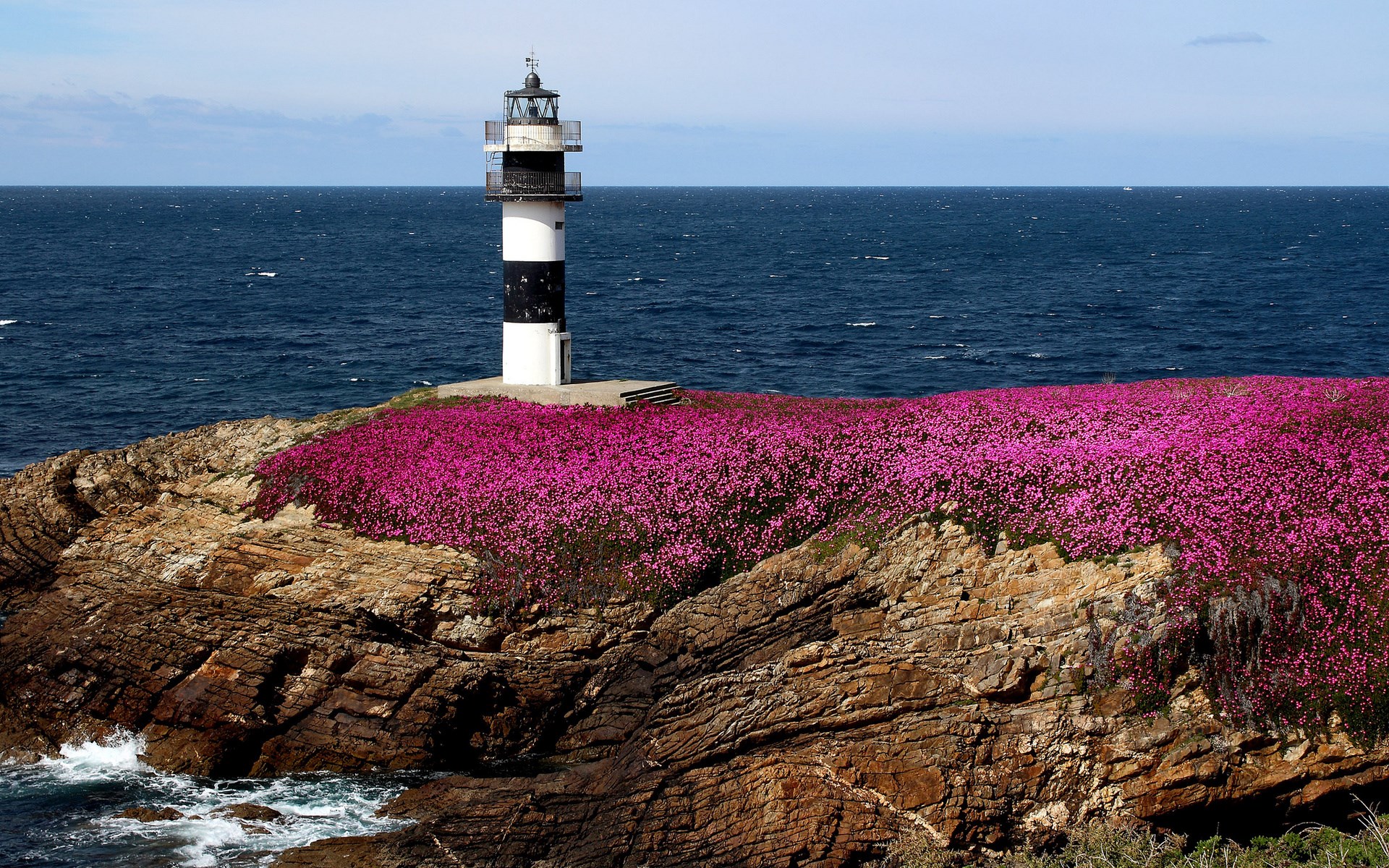 Lighthouse on a rocky coast with pink flowers HD Wallpaper