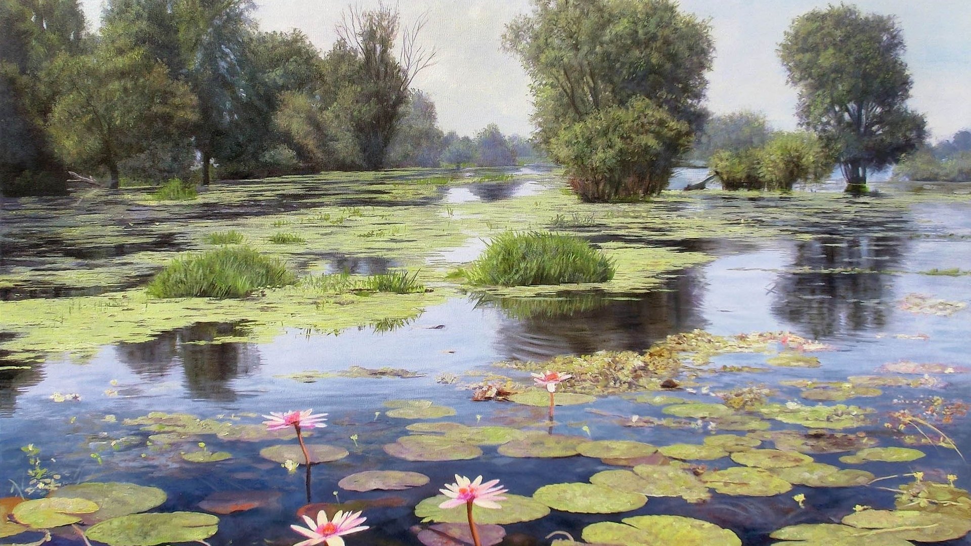 Zbigniew Kopania pond with water lilies and trees HD Wallpaper