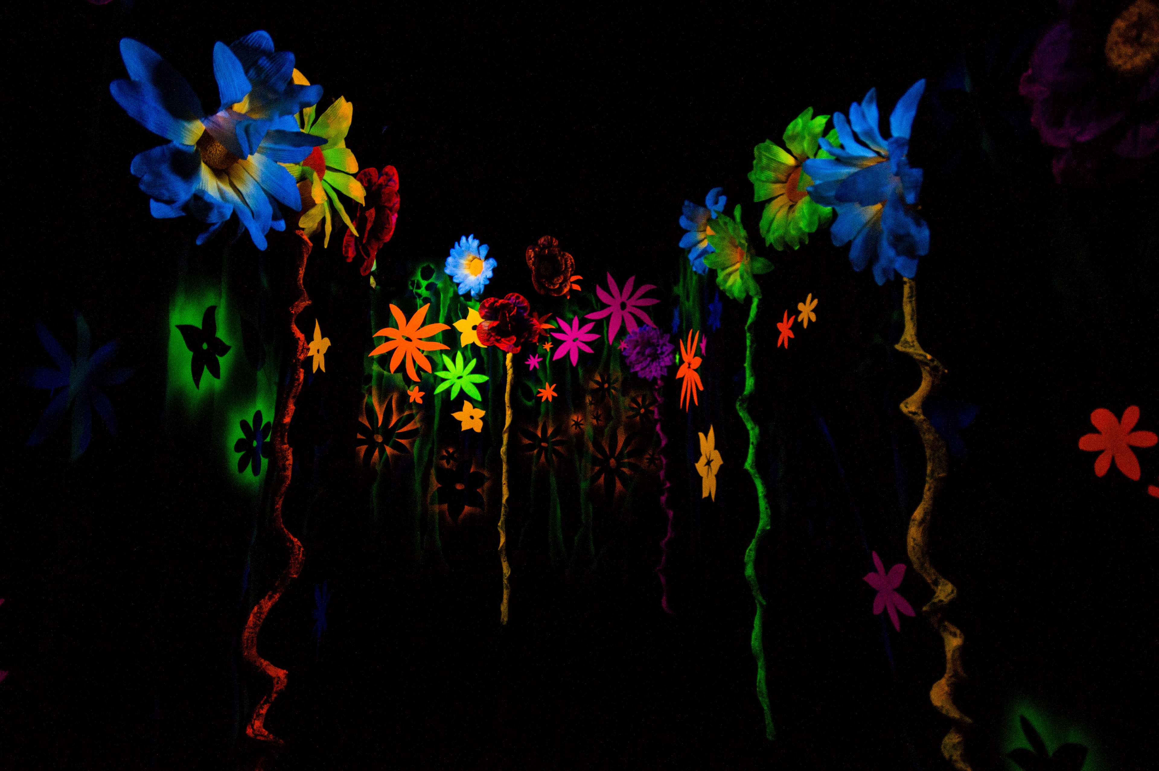 Colorful flowers in dark art 4K HD Wallpaper