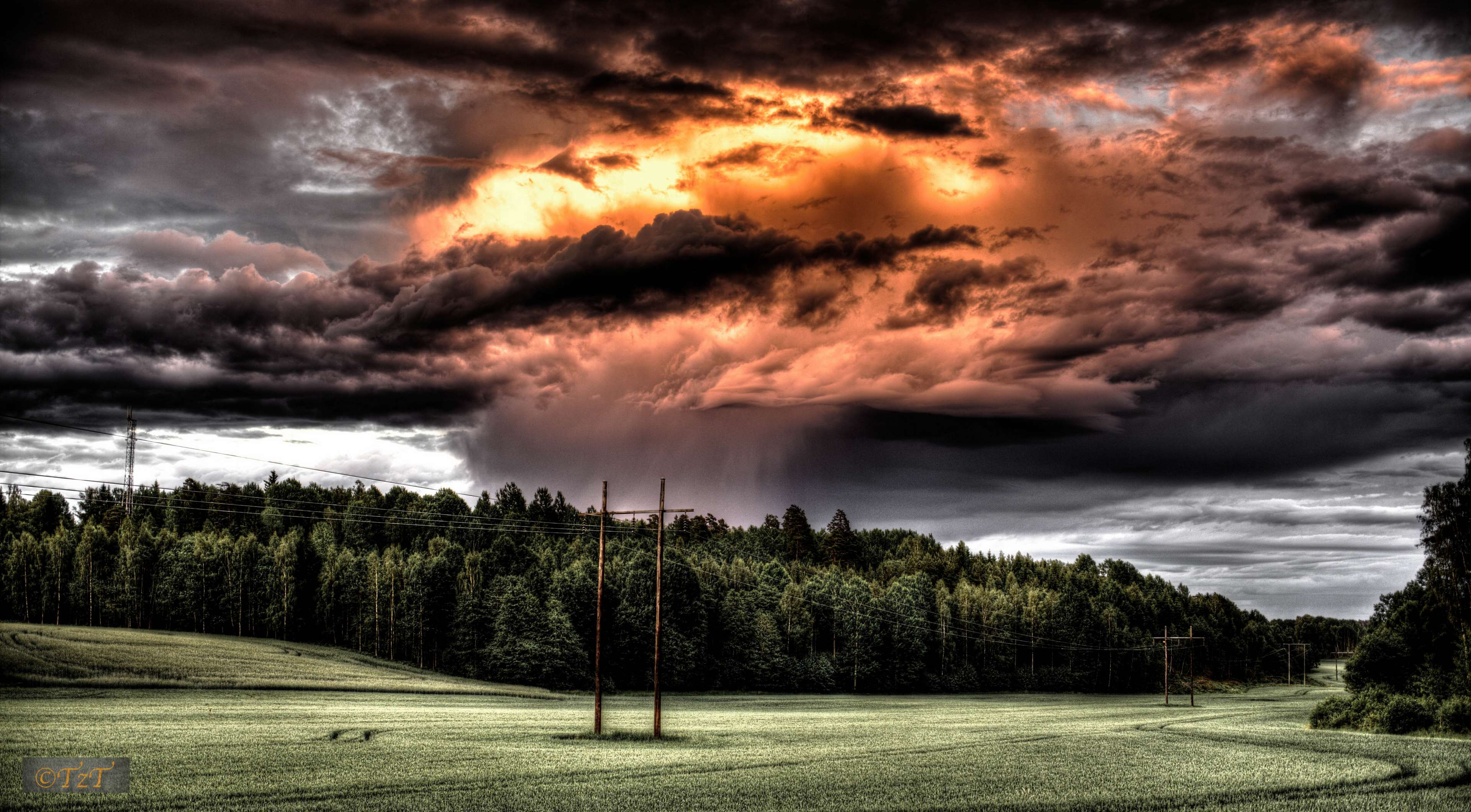 Stormy sky over a forest and field HD Wallpaper