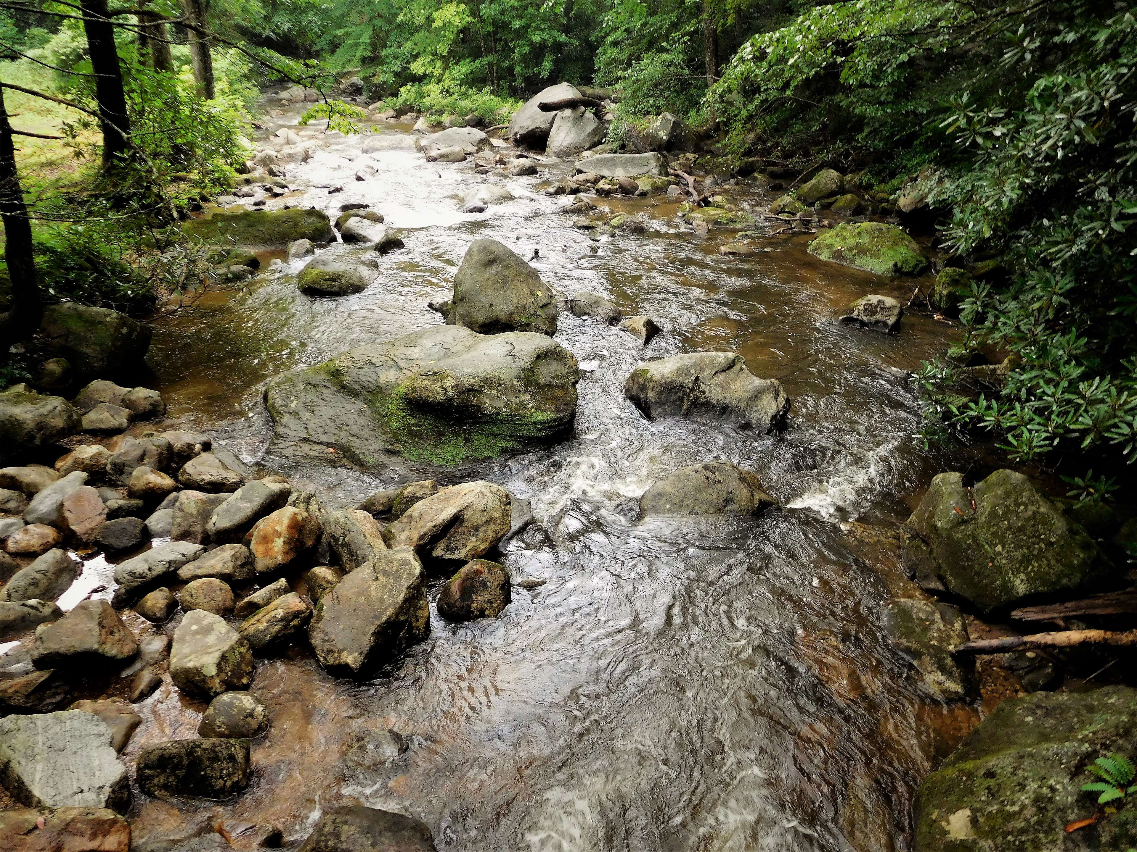 Mountain stream flowing over rocks in a forest HD Wallpaper