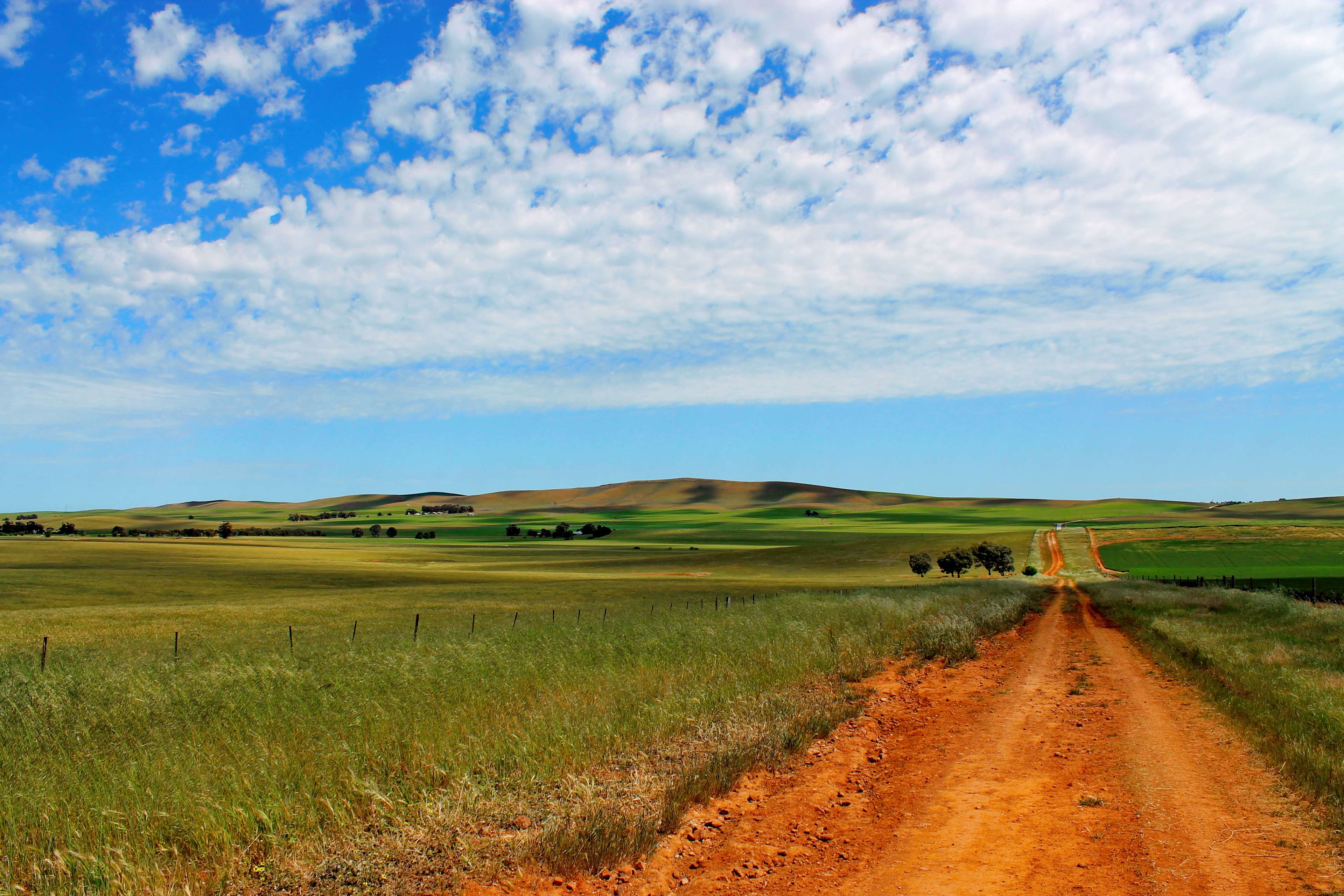 Dirt road through farmland in South Australia 4K HD Wallpaper
