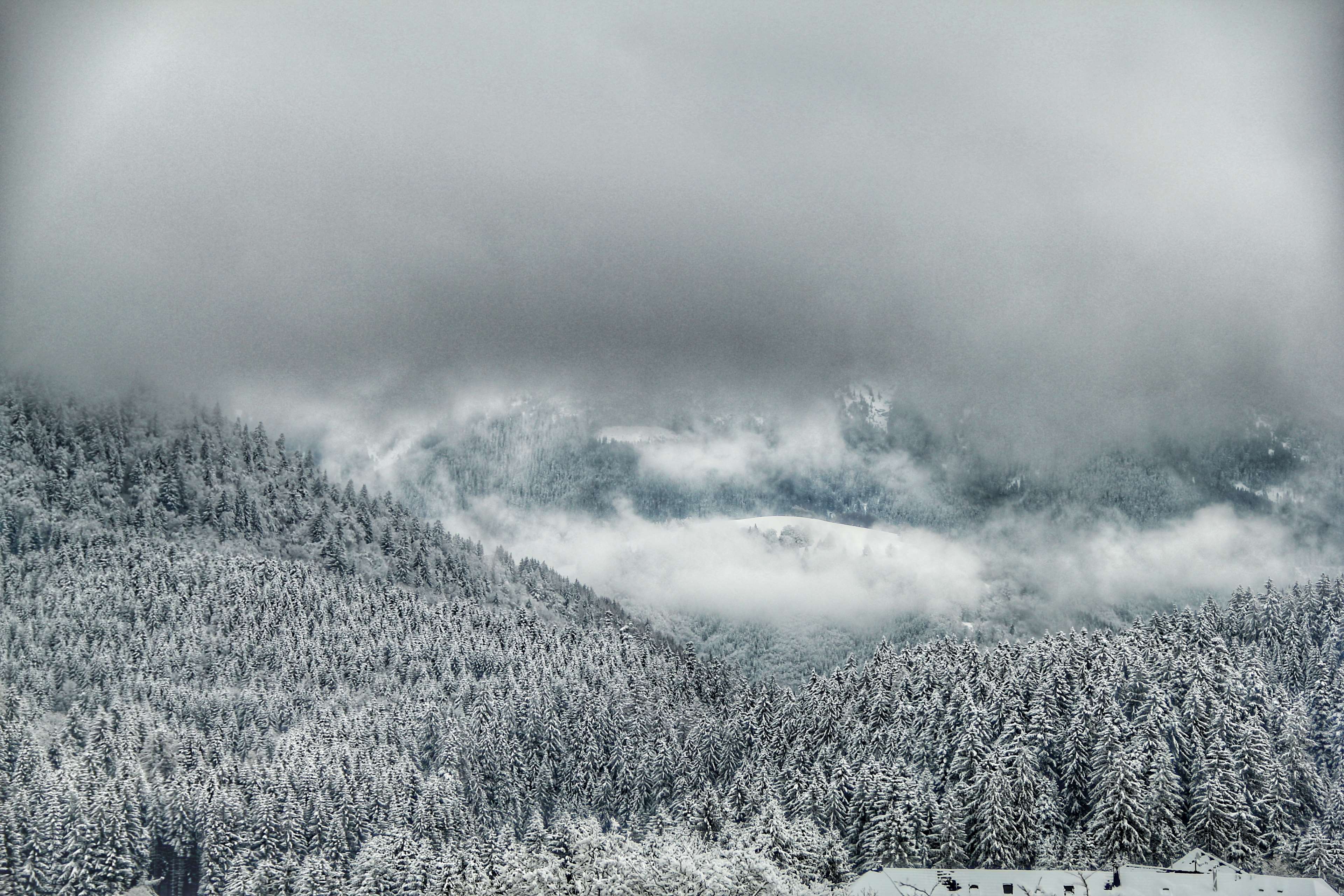 Snowy forest in Slovakia with clouds and mist 4K HD Wallpaper