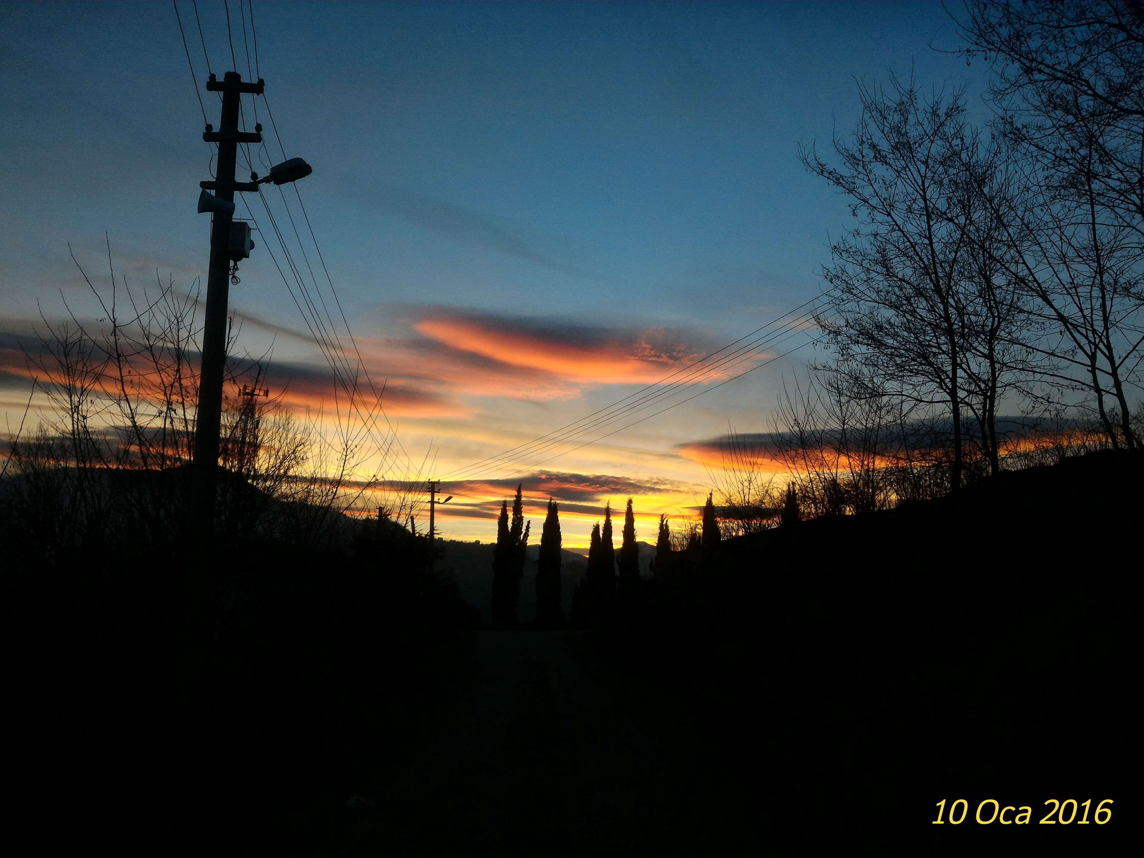 Silhouette of trees and power lines at sunset HD Wallpaper