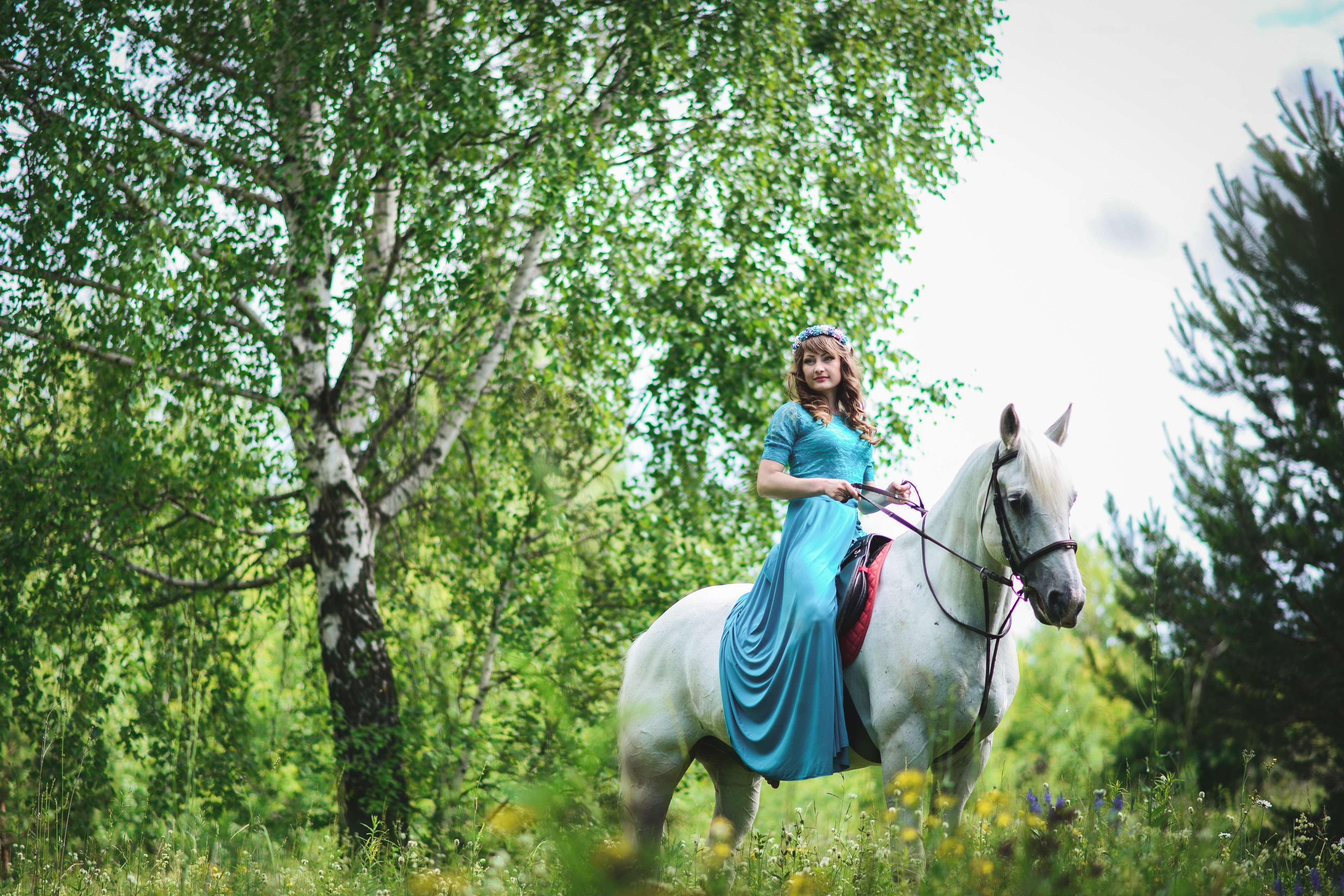 Woman in blue dress riding a white horse in a forest HD Wallpaper